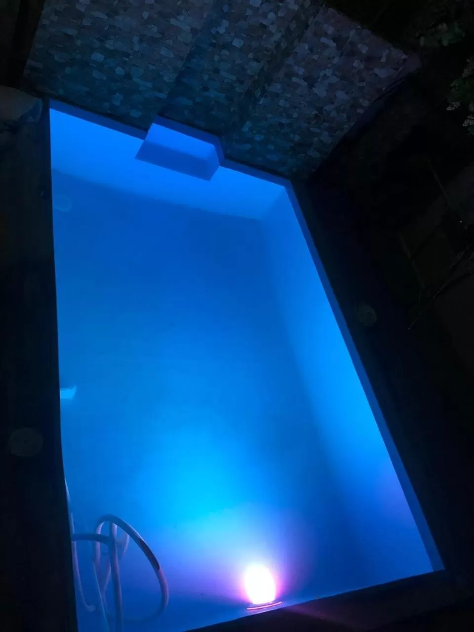 Swimming Pool in Elross Hotel