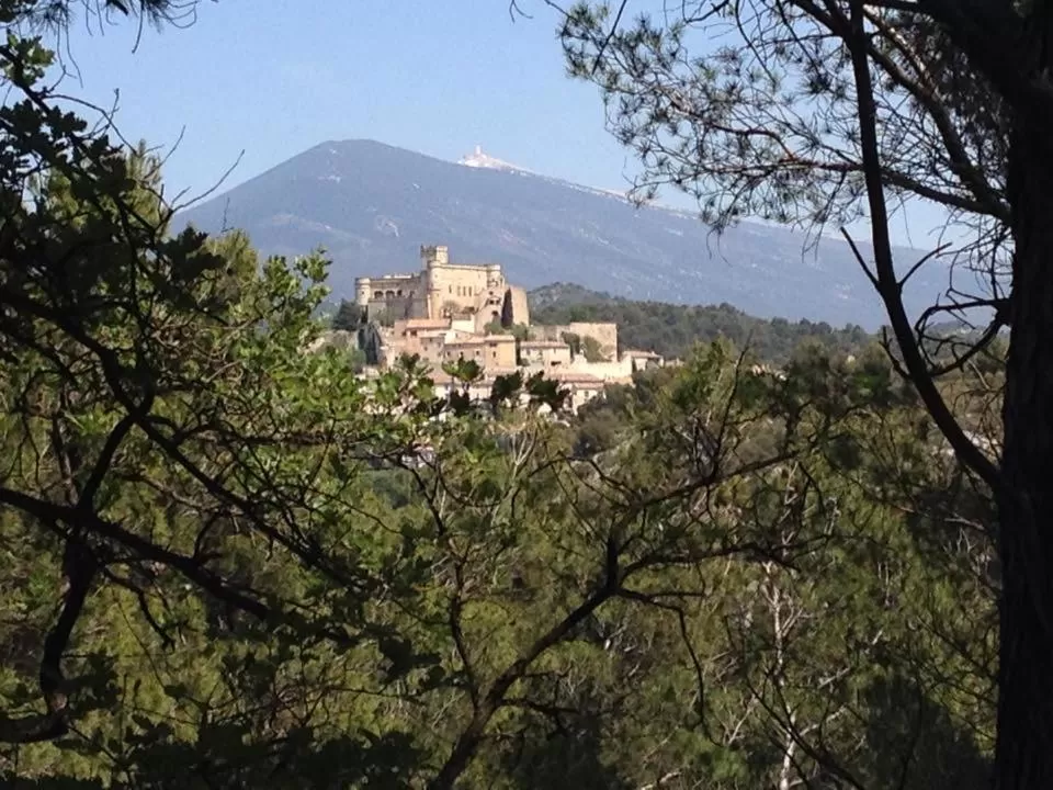 Other in Chambres d'Hôtes Aux Tournesols
