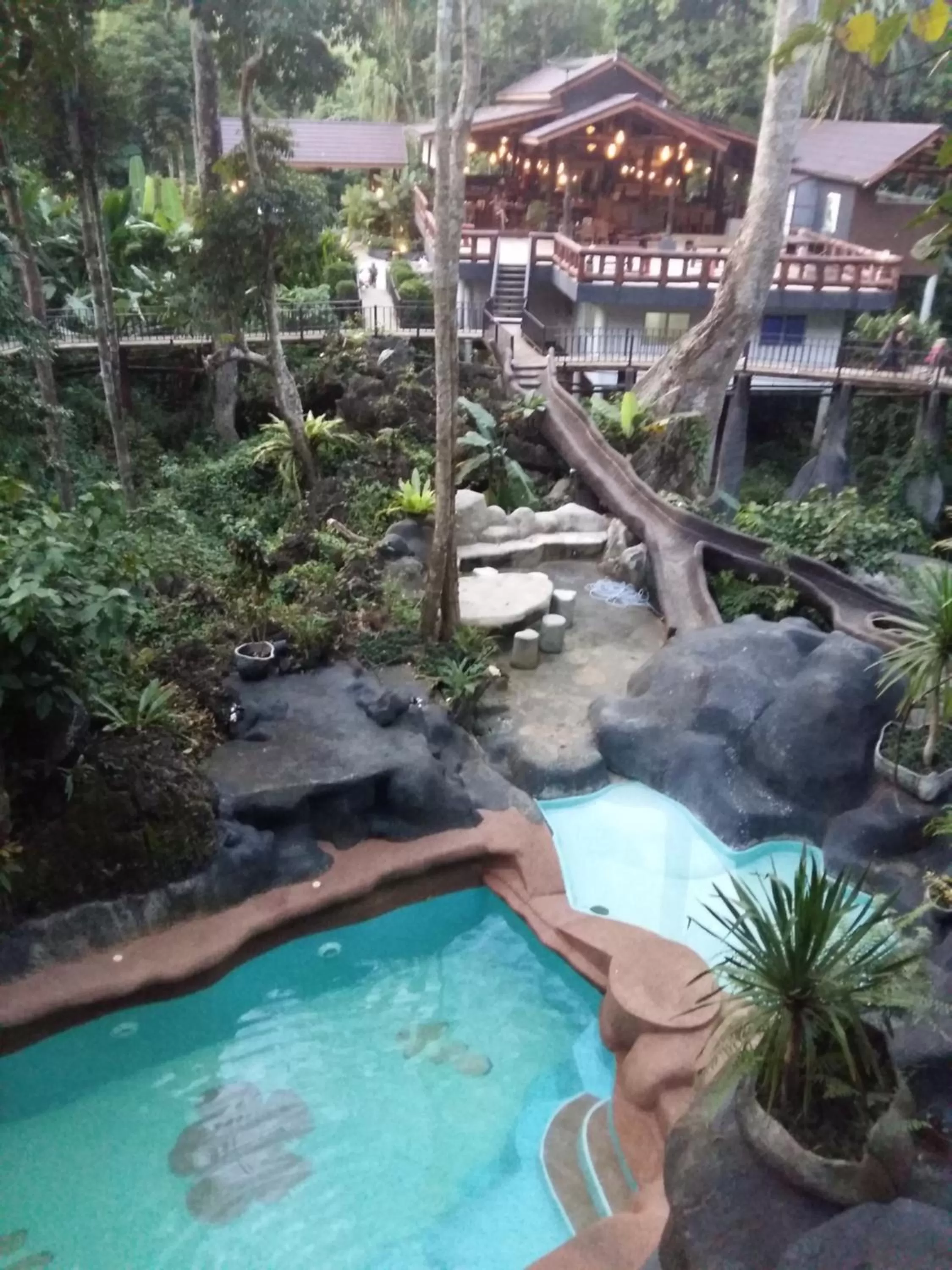 Pool View in Rock and Tree House Resort