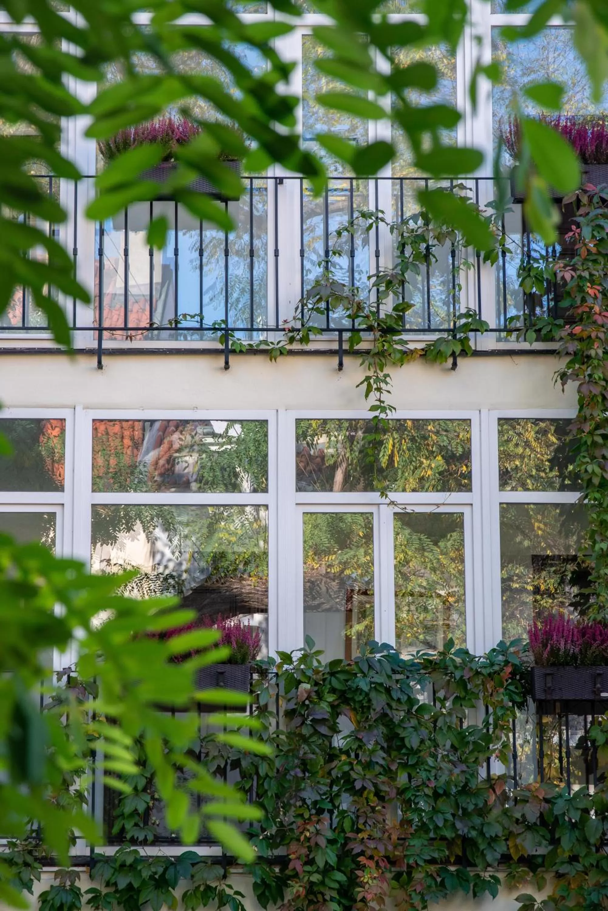 Garden in Monastery Garden Prague