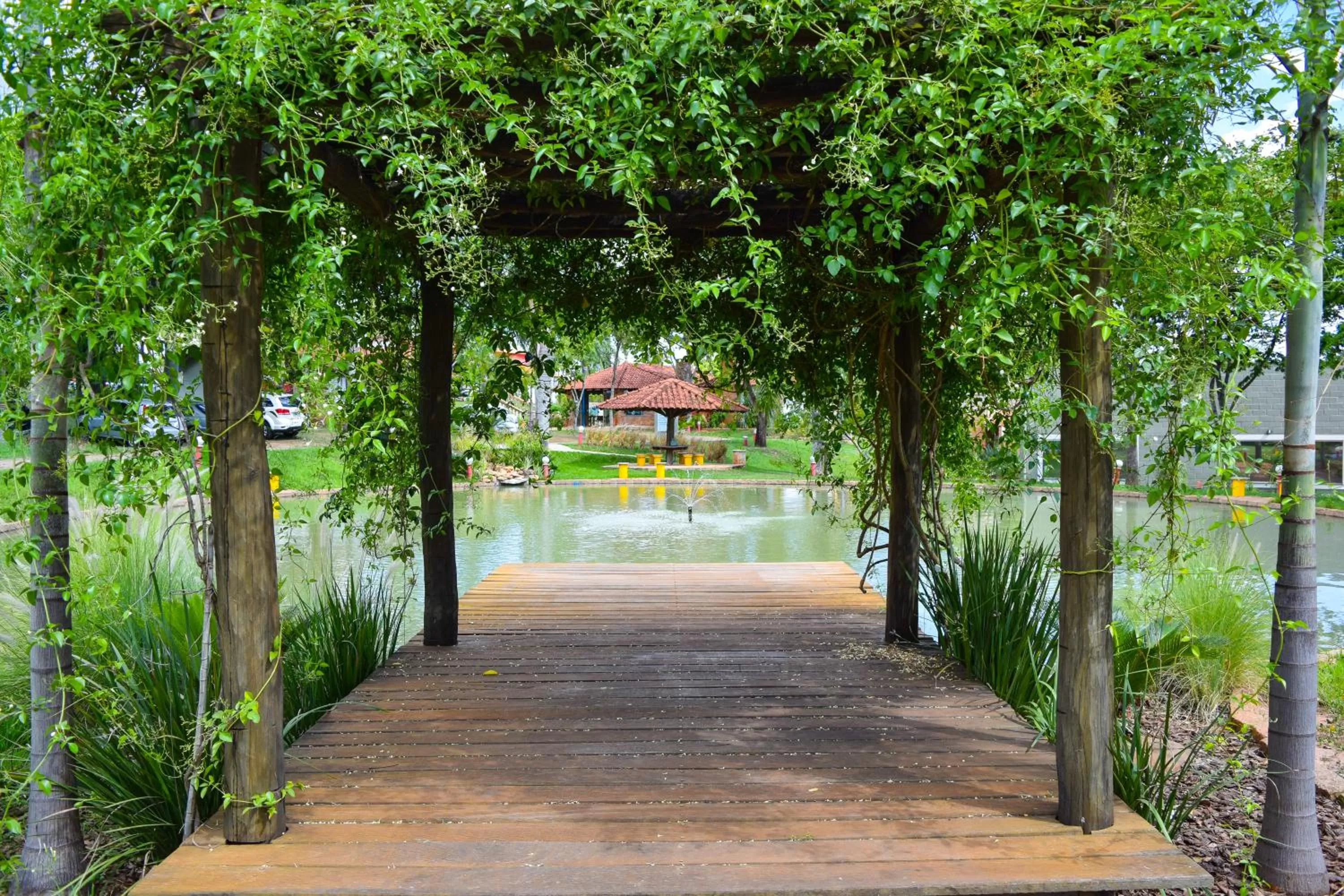 Natural landscape in HOTEL ABAPORU