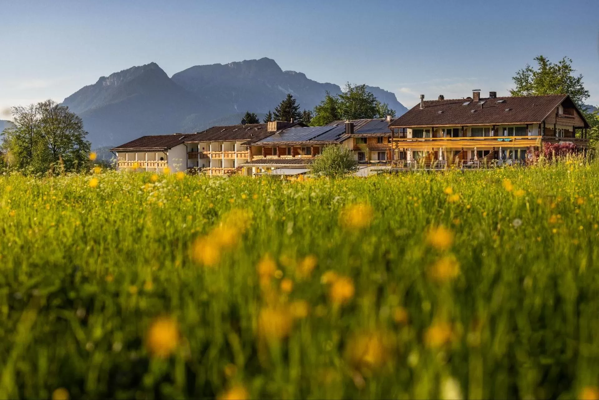 Property building in Alm- & Wellnesshotel Alpenhof