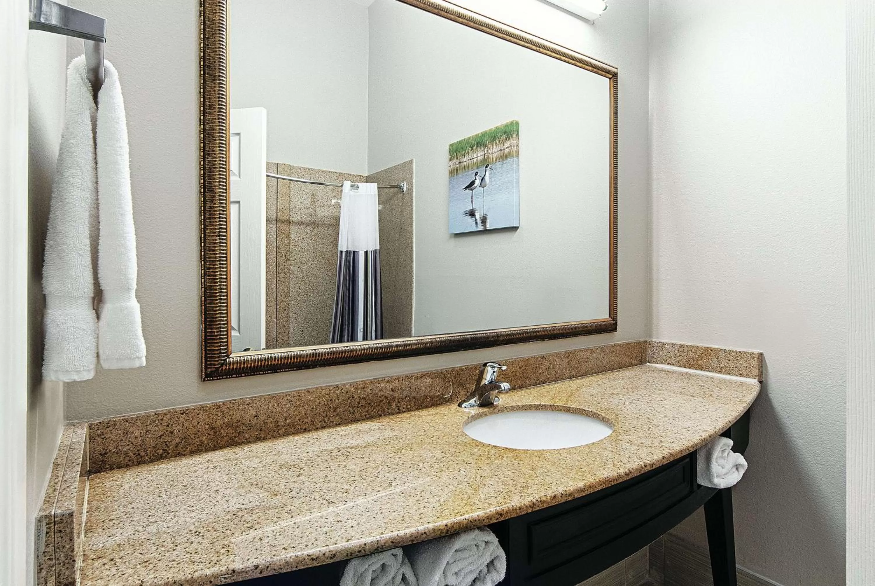 Bathroom in La Quinta by Wyndham Alamo-McAllen East