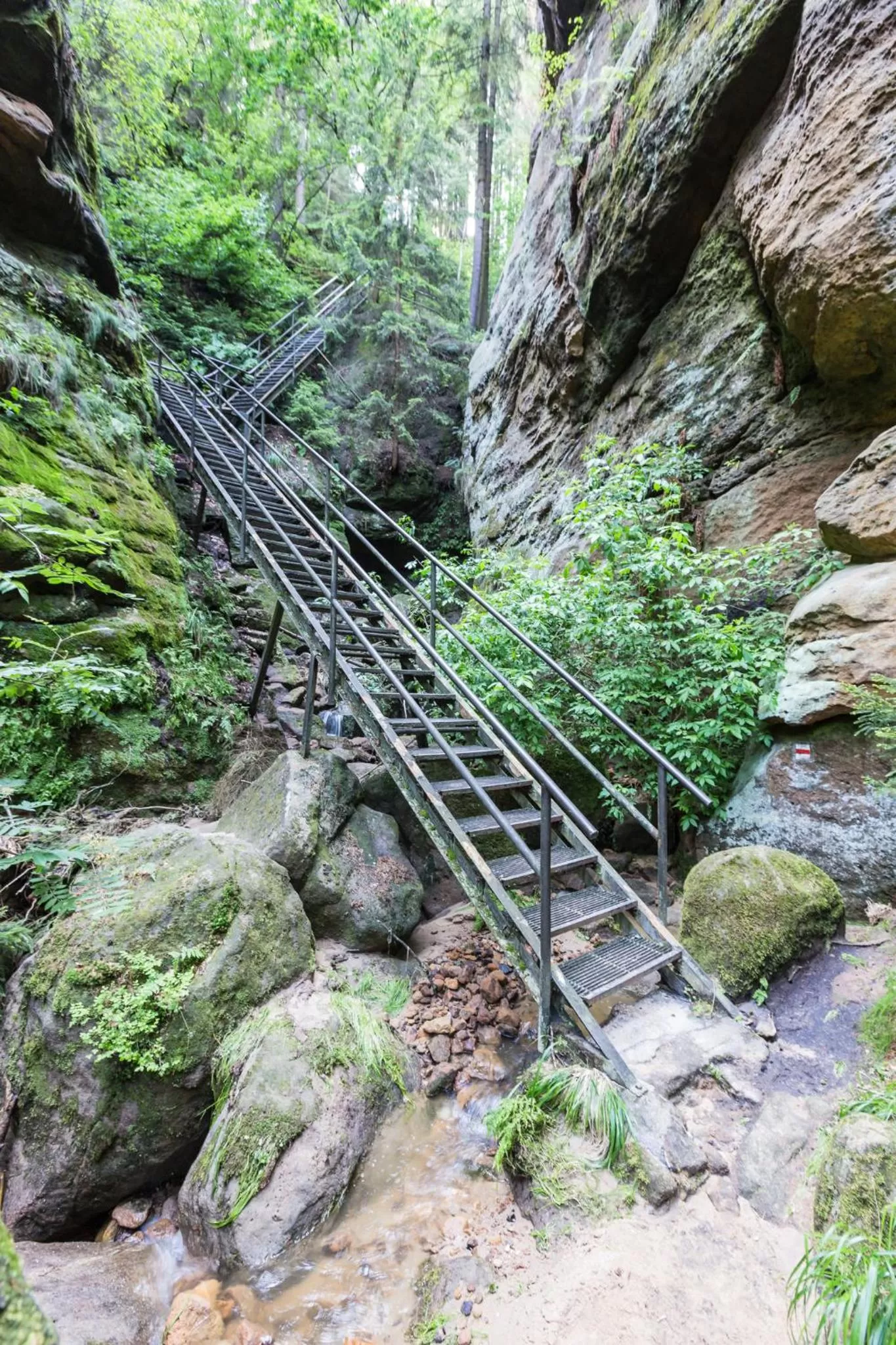 Other, Natural Landscape in Hotel Waldhäusel