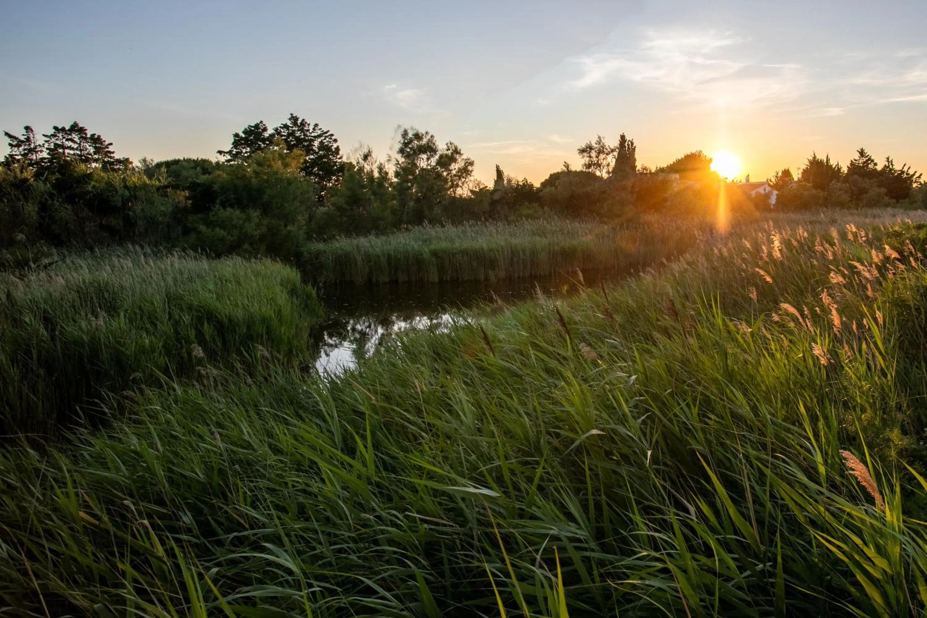 Natural landscape in Le Mas de Cocagne