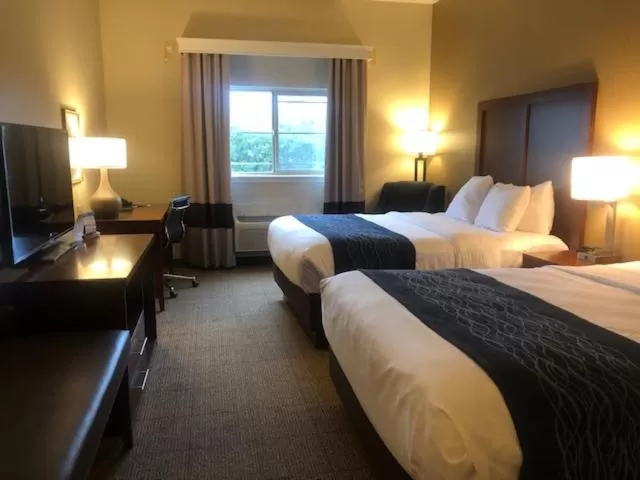 Photo of the whole room, Bed in Comfort Inn & Suites Ukiah Mendocino County