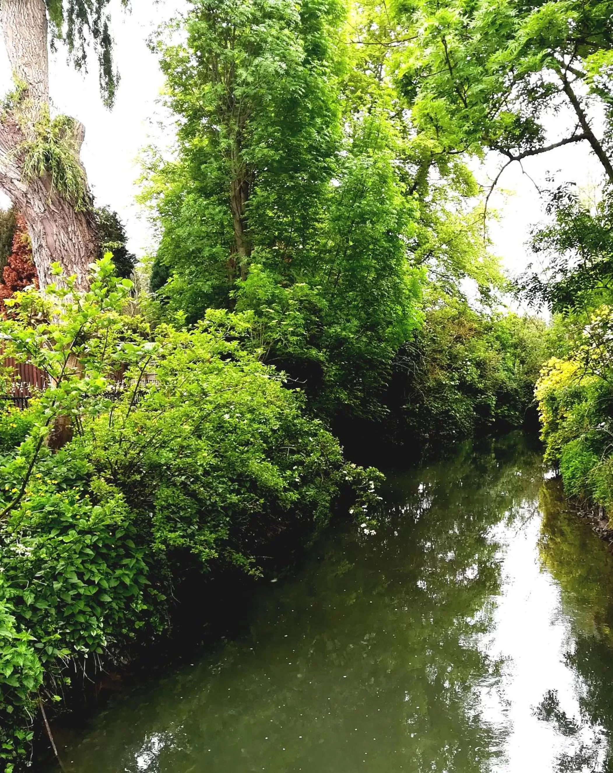 Garden view in B&B De Dubbelmolen