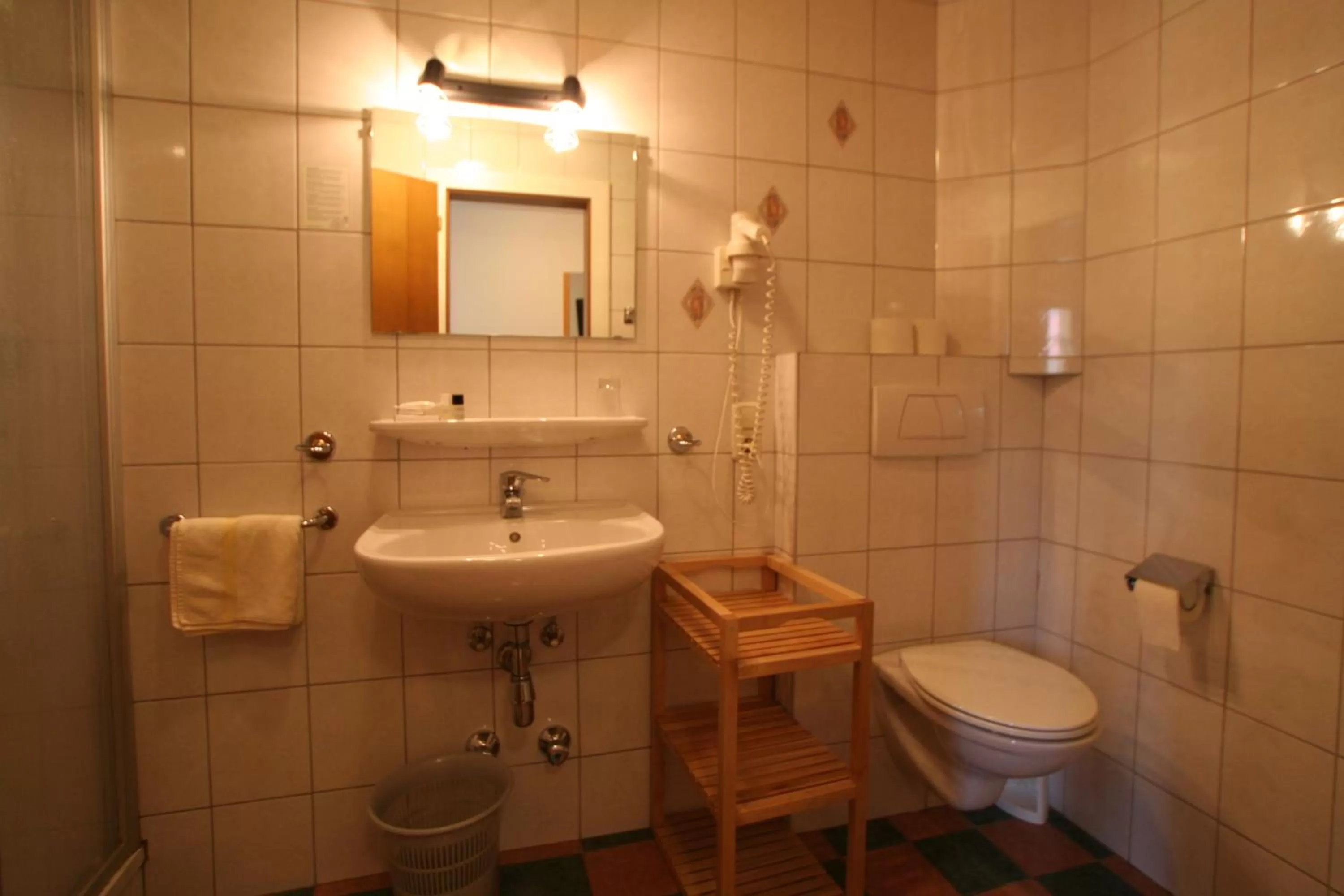 Bathroom in Hotel Engl