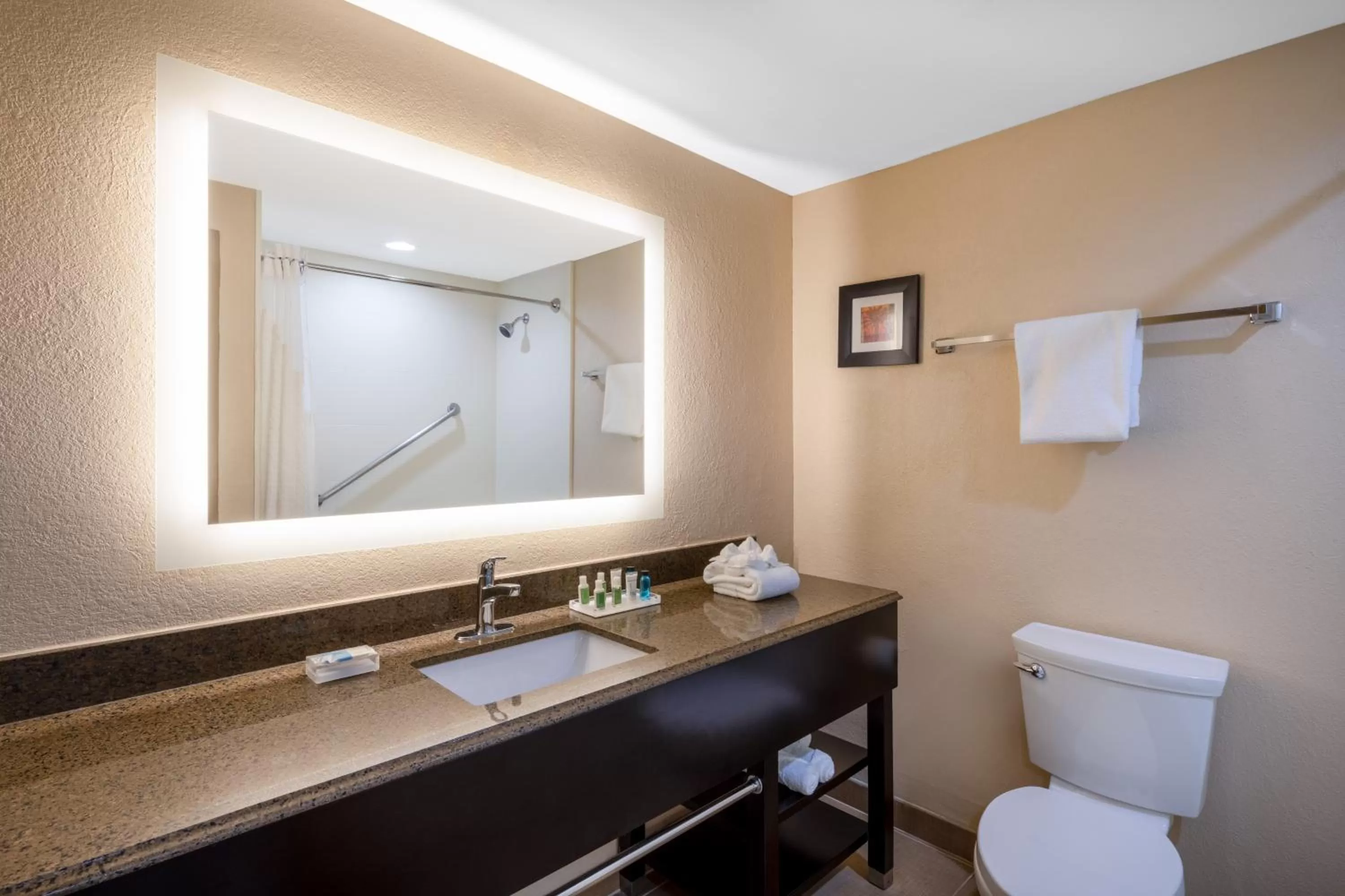 Toilet in Holiday Inn Poughkeepsie by IHG