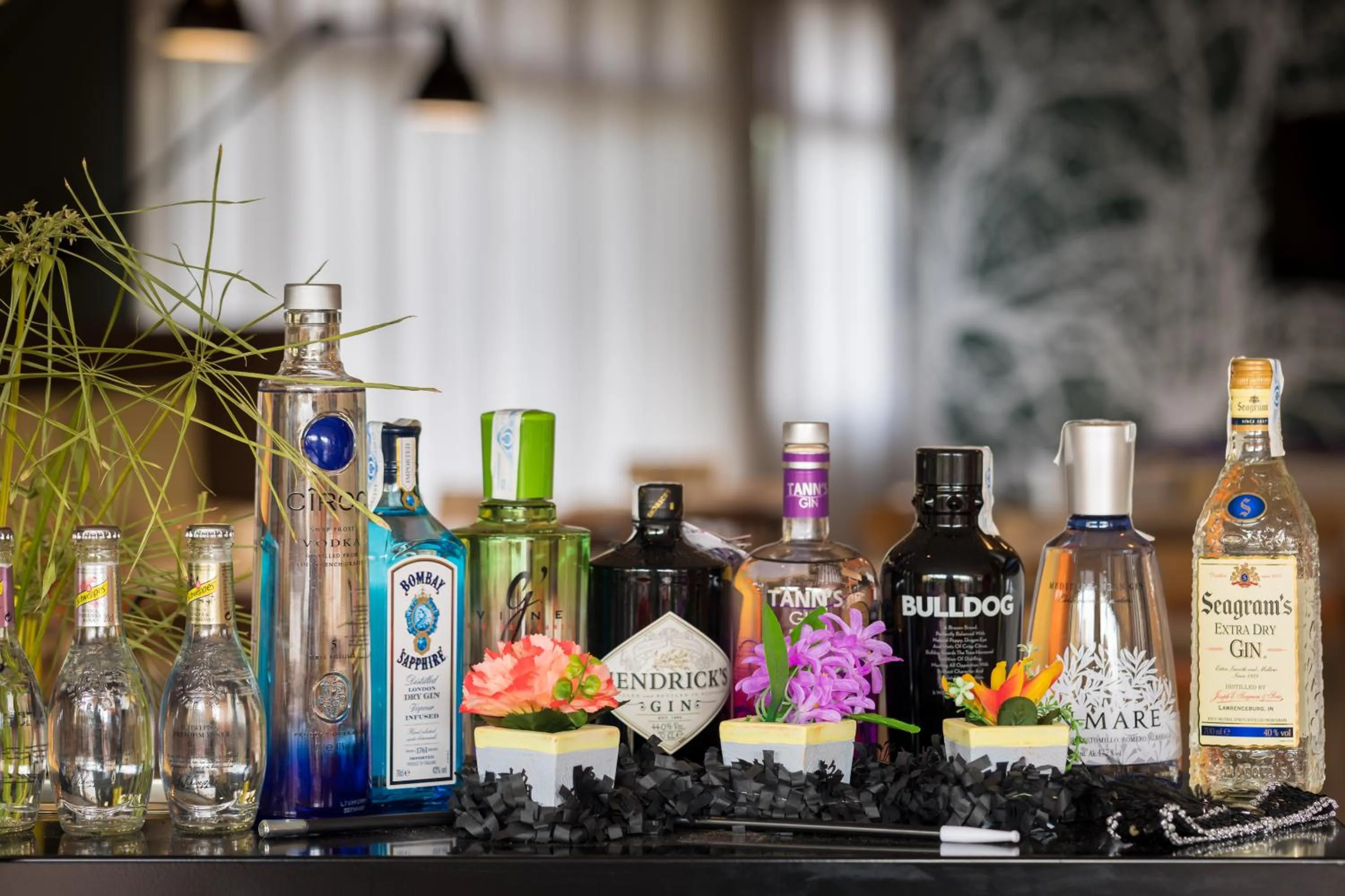 Alcoholic drinks in AQUA Hotel Bertran Park