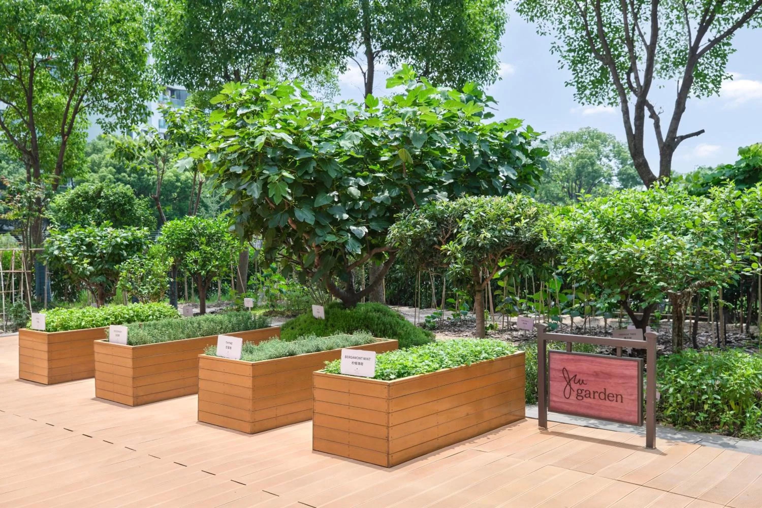 View (from property/room) in JW Marriott Marquis Hotel Shanghai Pudong