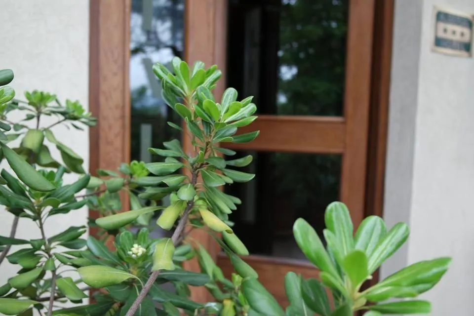 Facade/entrance in Hotel Livio