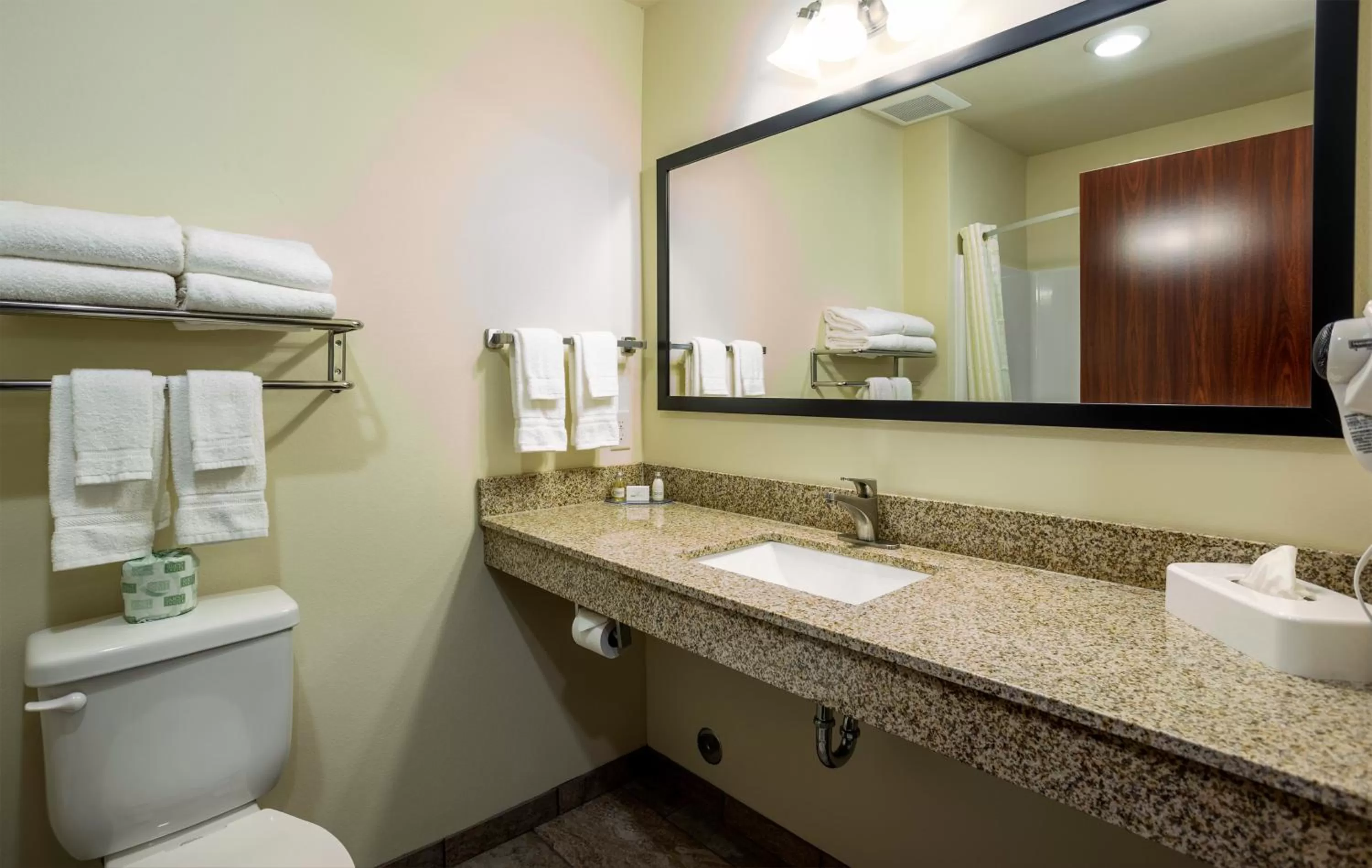 Toilet in Cobblestone Inn & Suites - Brookville