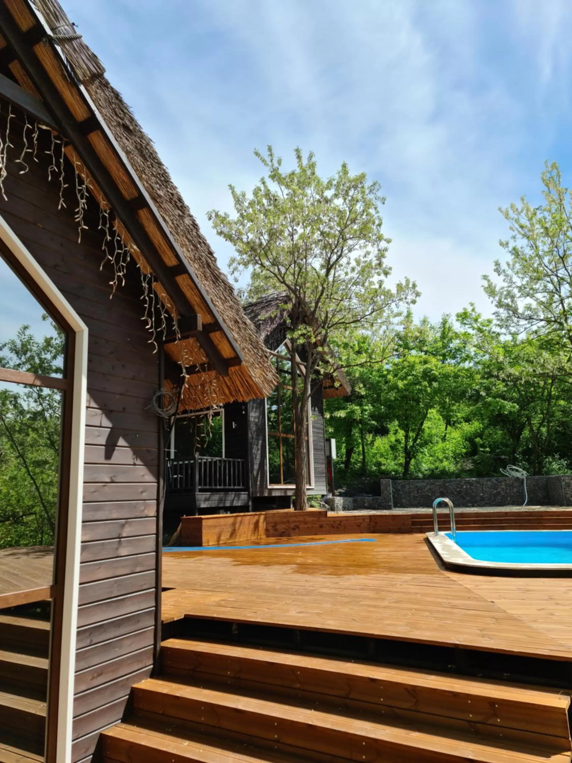 Property Building in Tree House Relax Park