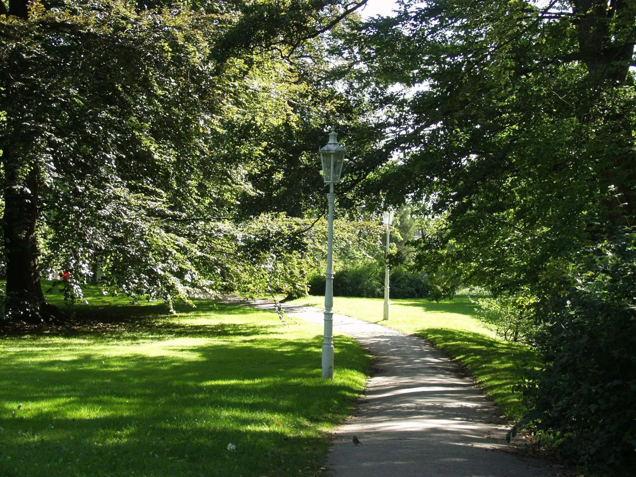 Natural landscape, Garden in Apartma La Provence