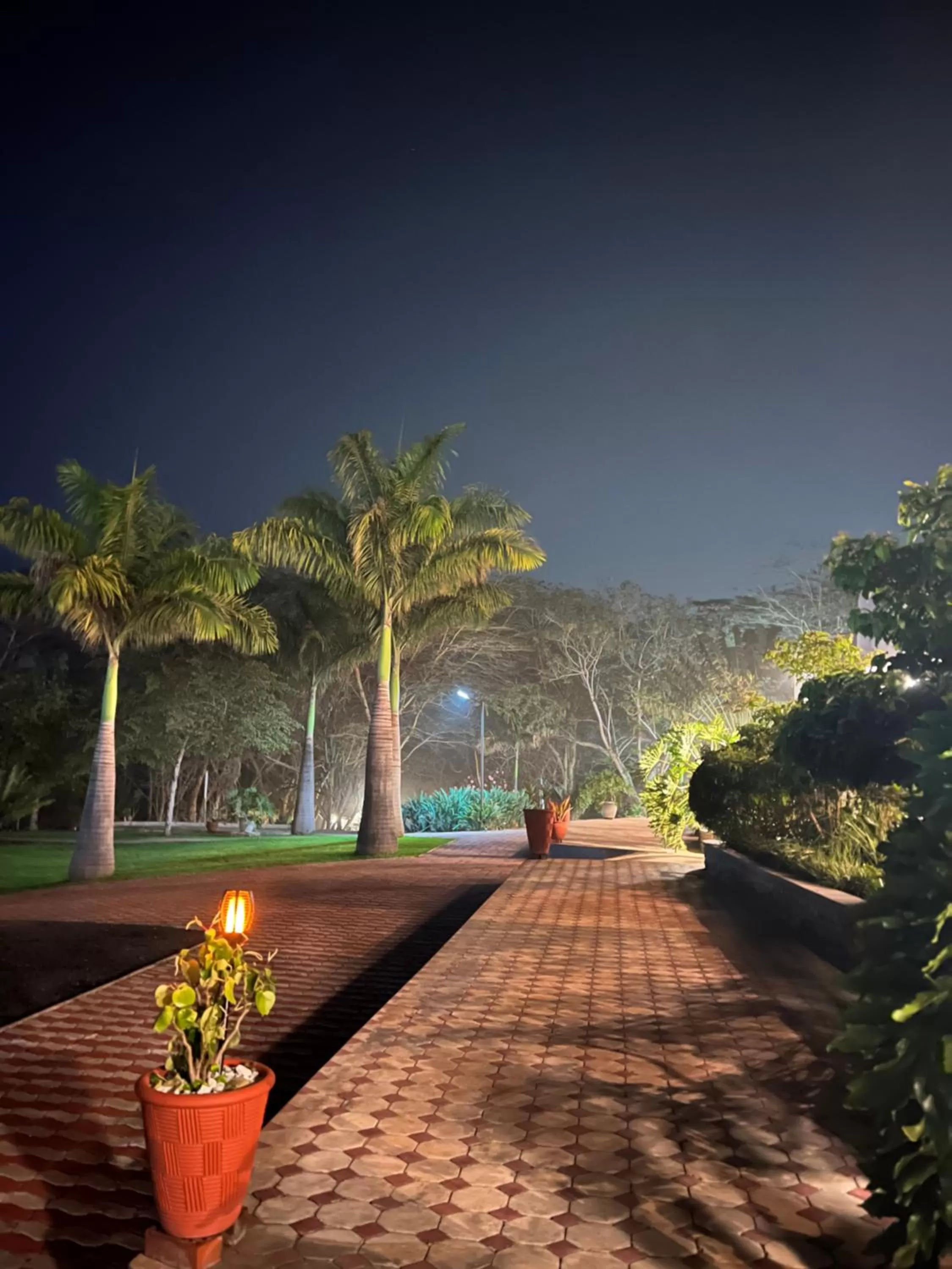 Night in Forest Hill Hotel