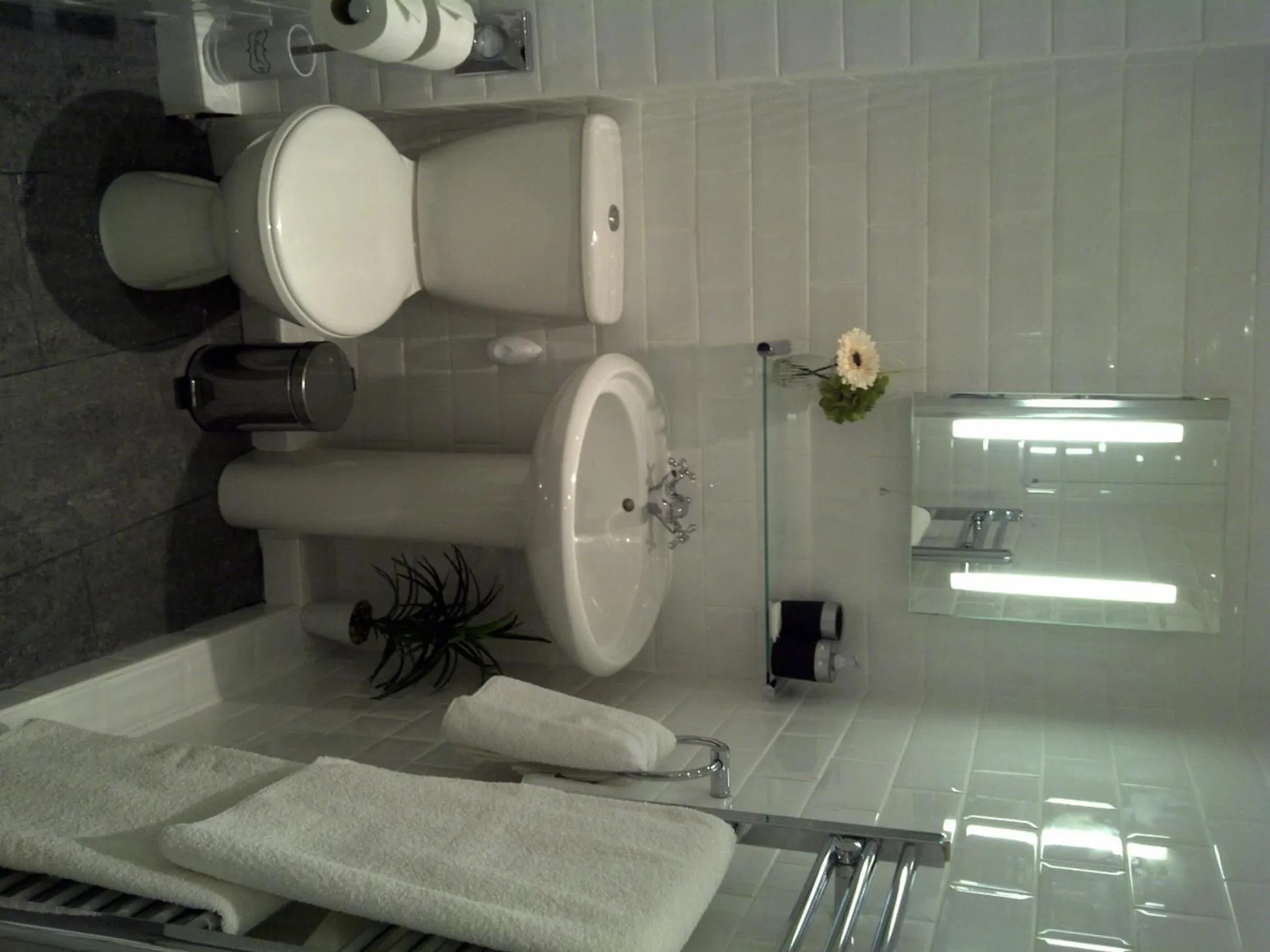 Toilet in Senlac Guesthouse