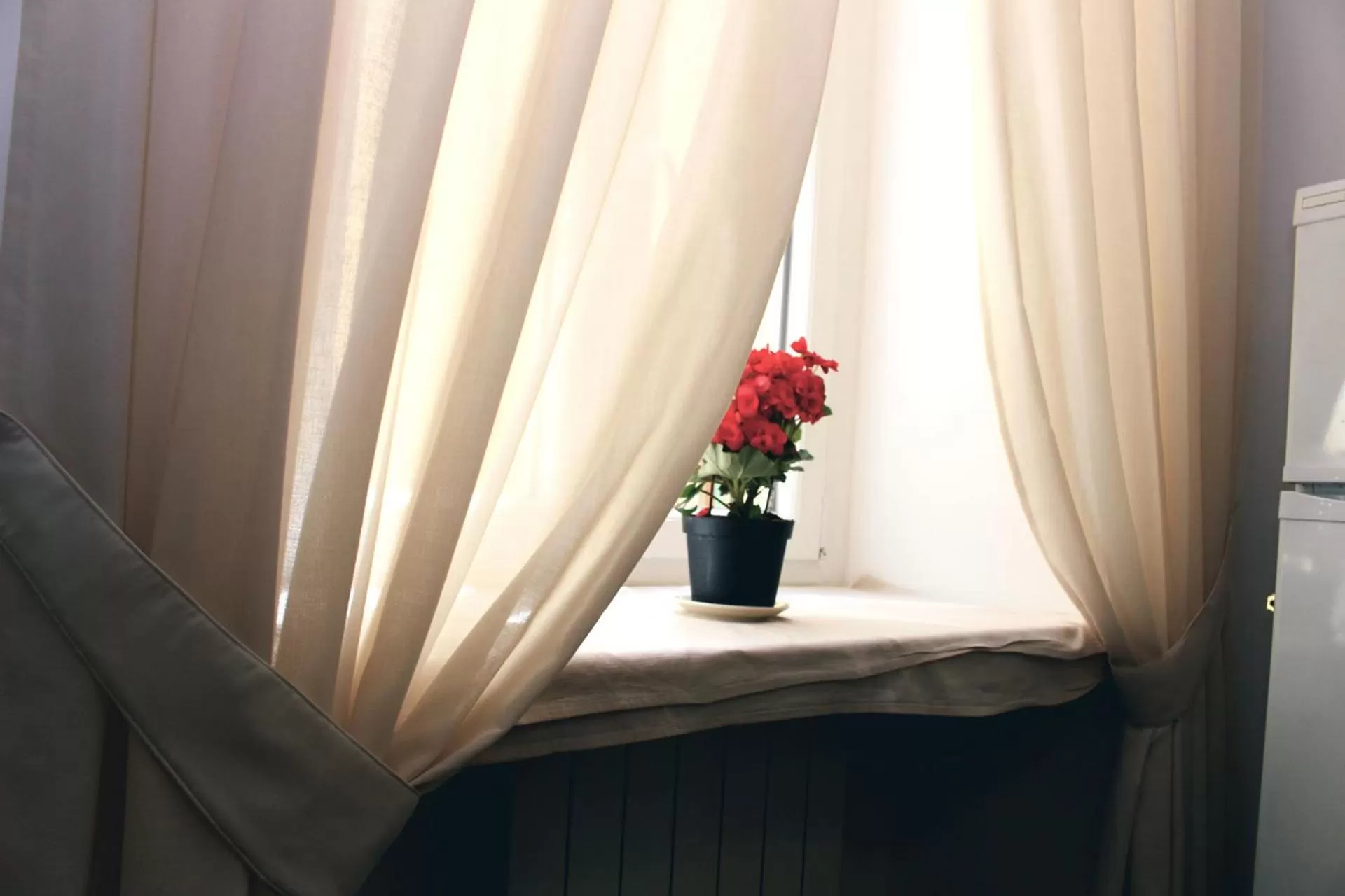 Lobby or reception in Hotel Esperanza