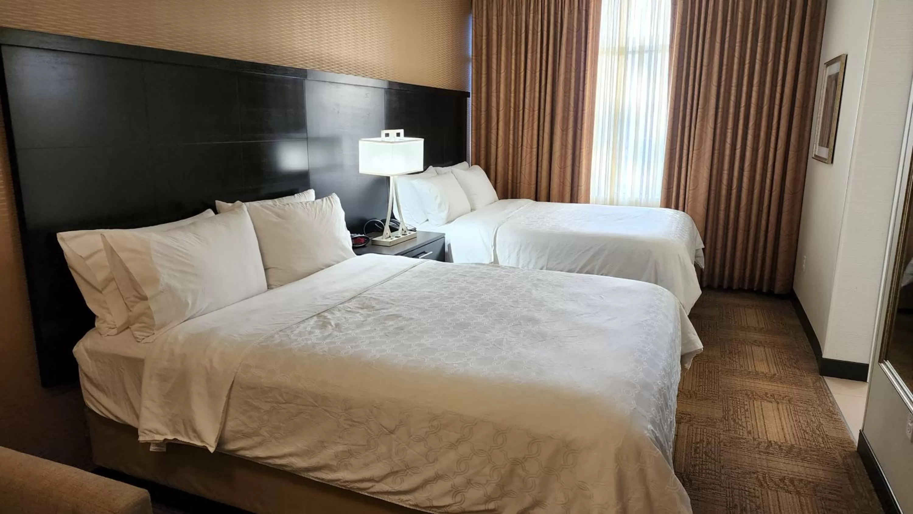 Photo of the whole room, Bed in Staybridge Suites Denver Downtown by IHG