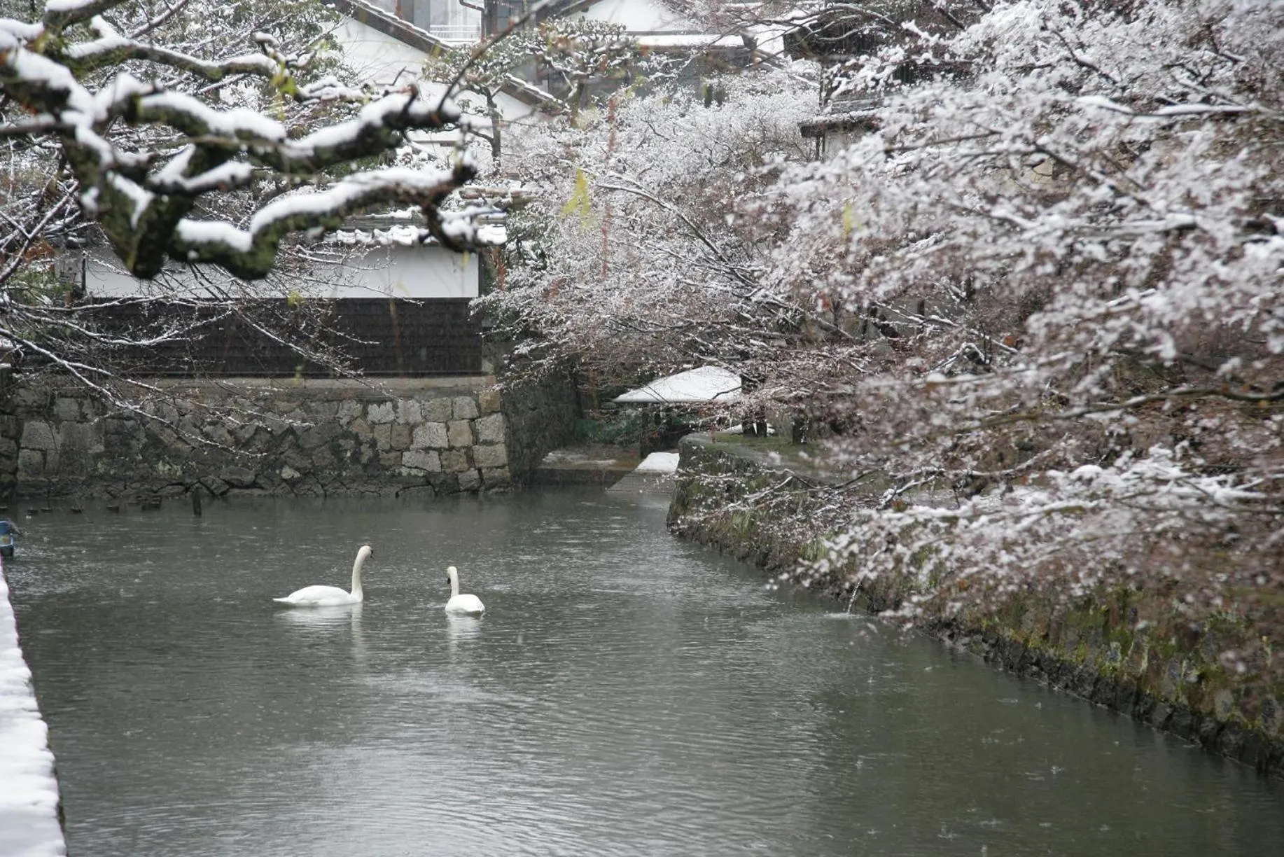 Neighbourhood in Ryori Ryokan Tsurugata