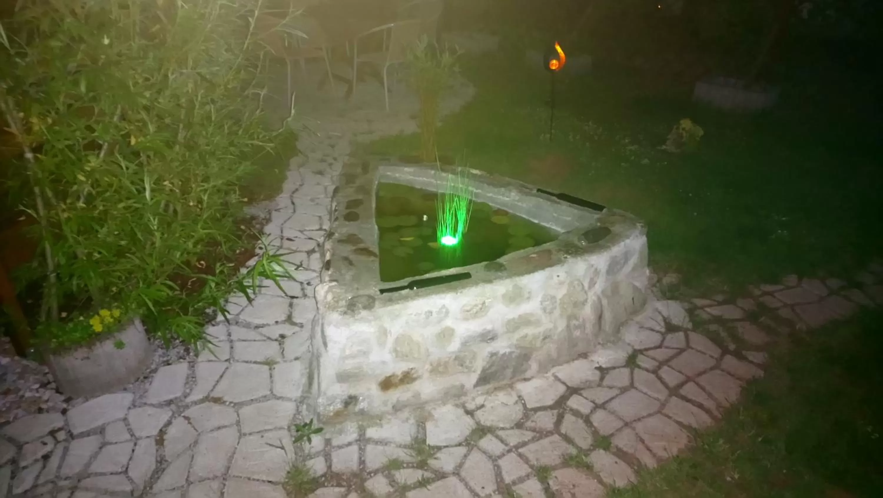 Garden, Swimming Pool in Hotel Alfa