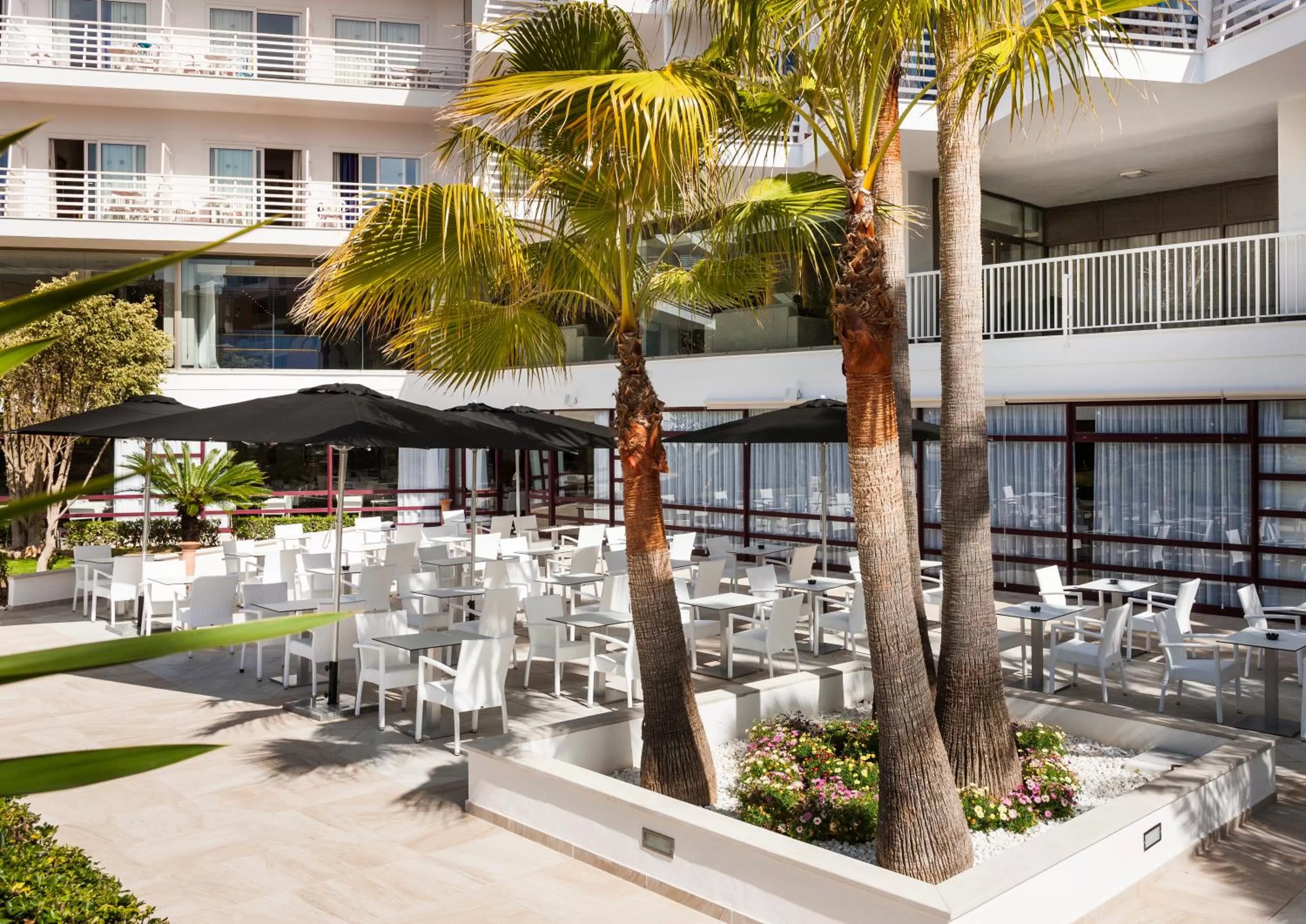 Restaurant/places to eat in Globales Palmanova