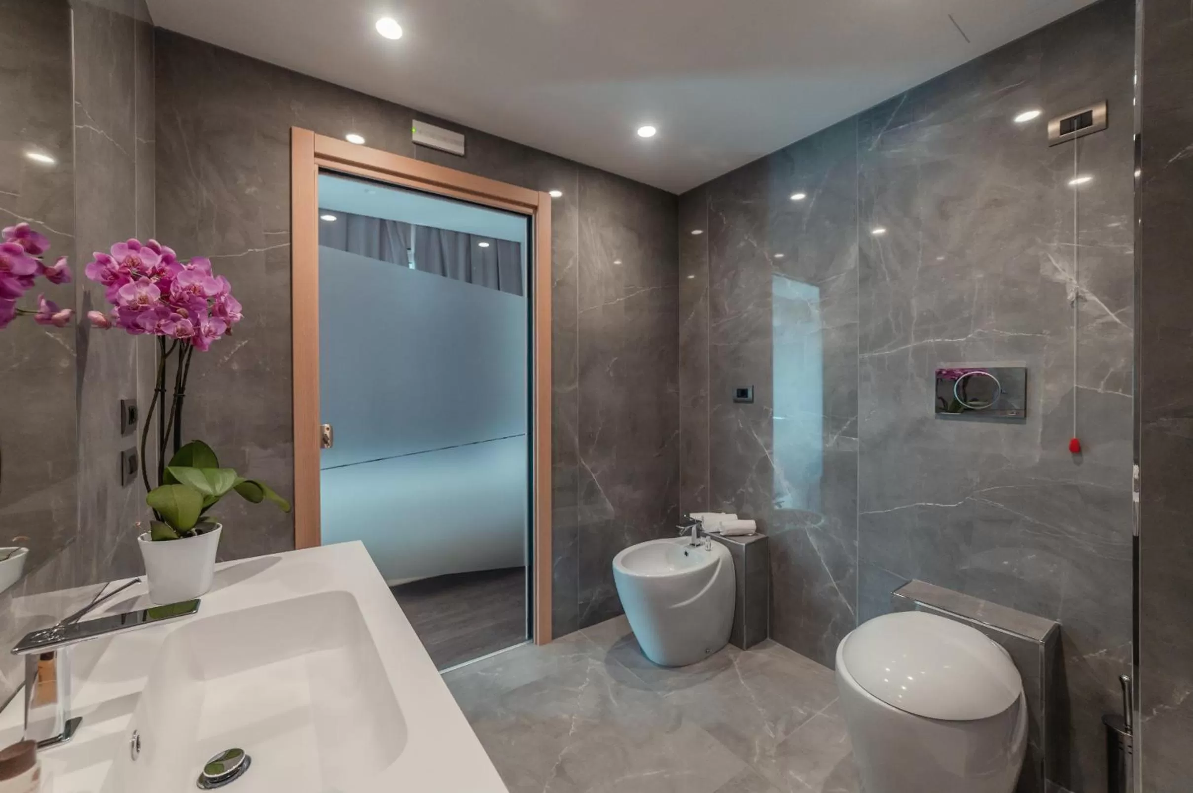 Toilet in Hotel Continental