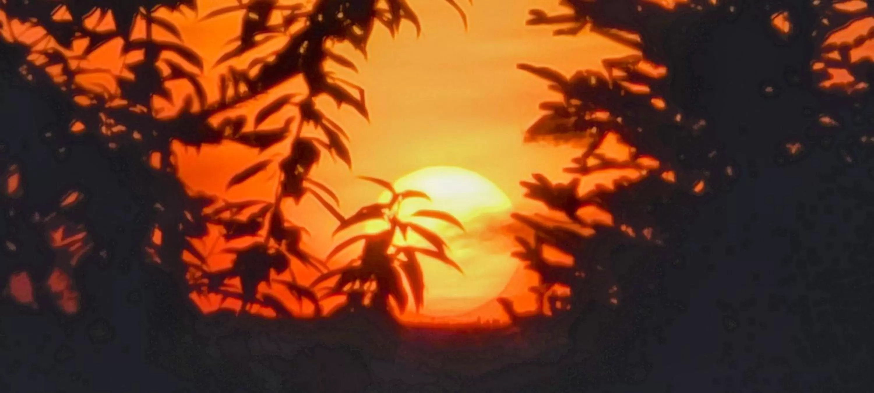 St Ann's Motel & Cottage