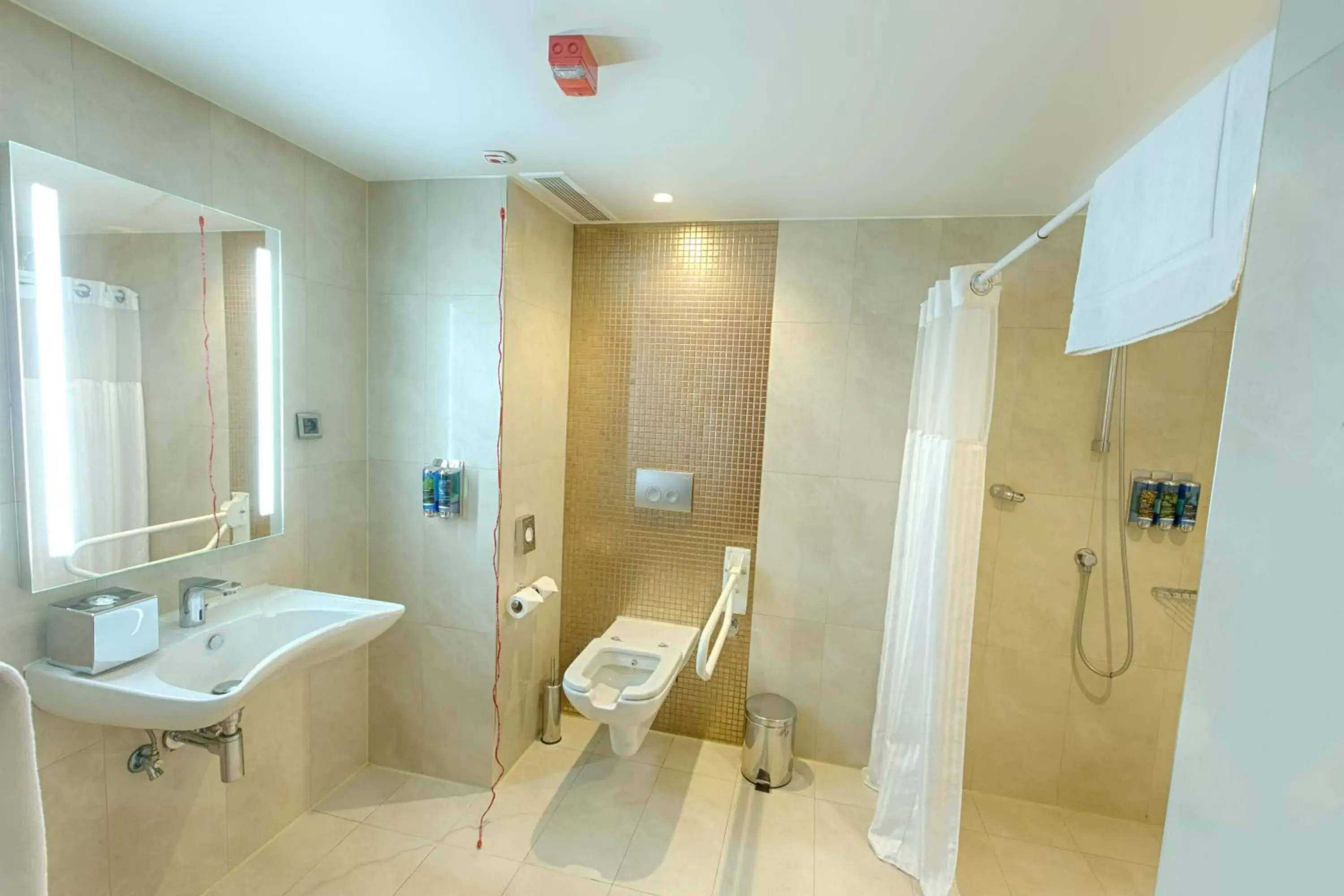 1 Queen Access Roll in Shower - Non Smoking in Hampton By Hilton Gaziantep 1 Queen Access Roll in Shower - Non Smoking in Hampton By Hilton Gaziantep