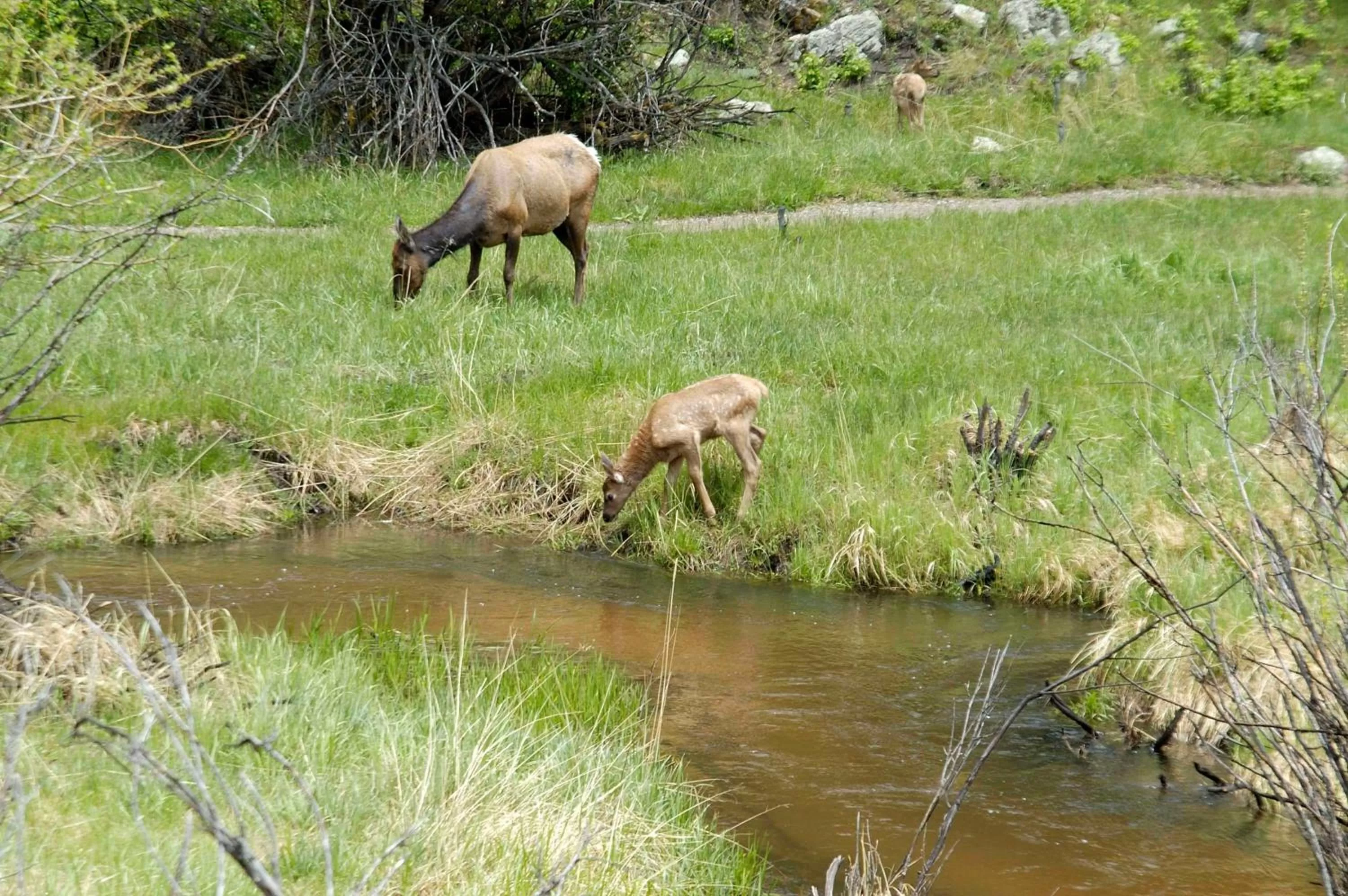 Area and facilities in Wildwood Inn
