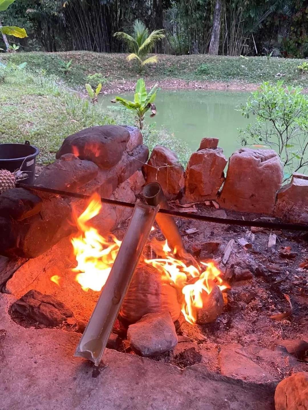 Khaosok Rainforest Resort