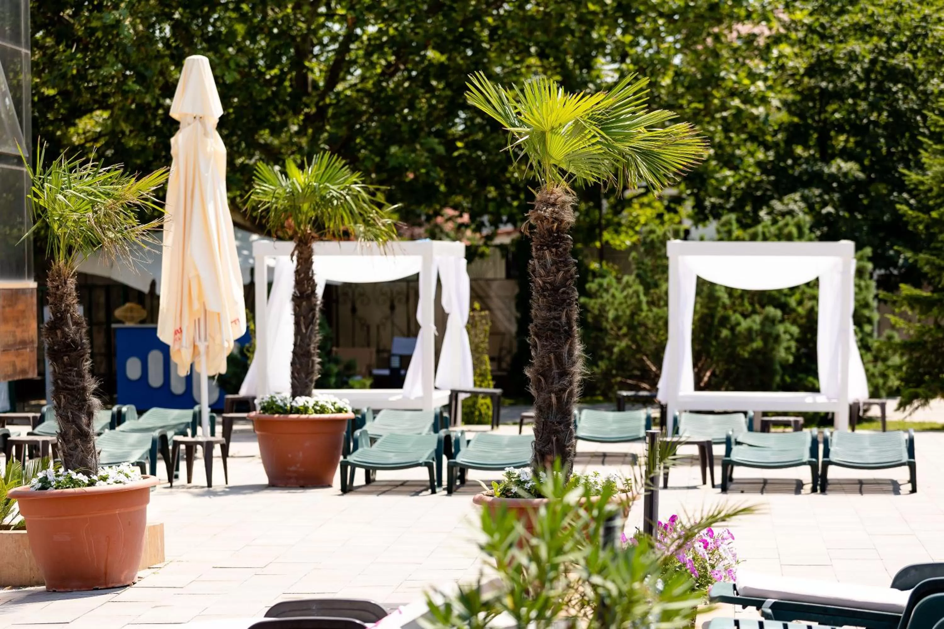 Swimming pool in Hotel Terra Balneo