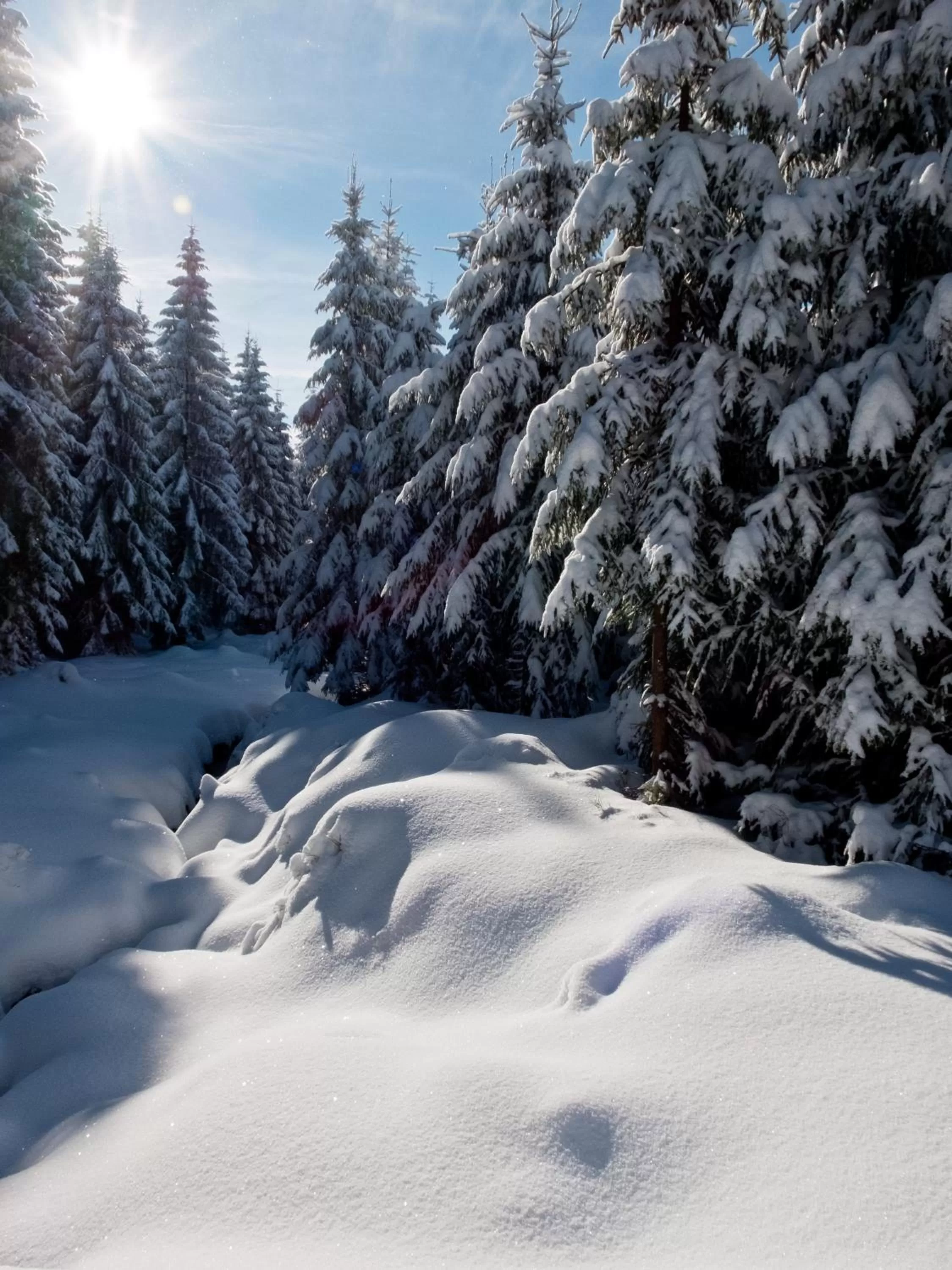 Natural landscape in Hotel Bon