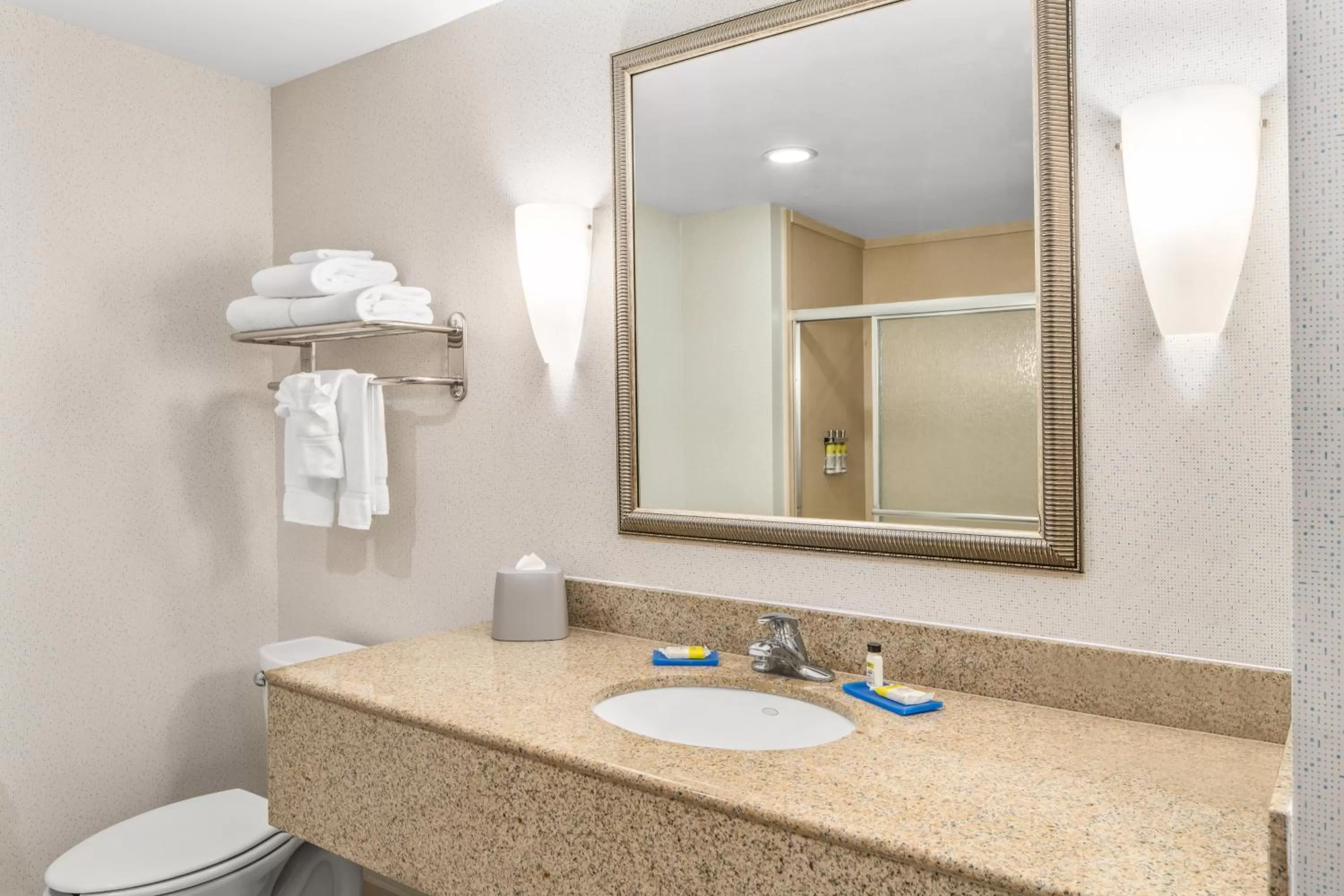 Bathroom in Holiday Inn Express & Suites Wilmington-Newark by IHG