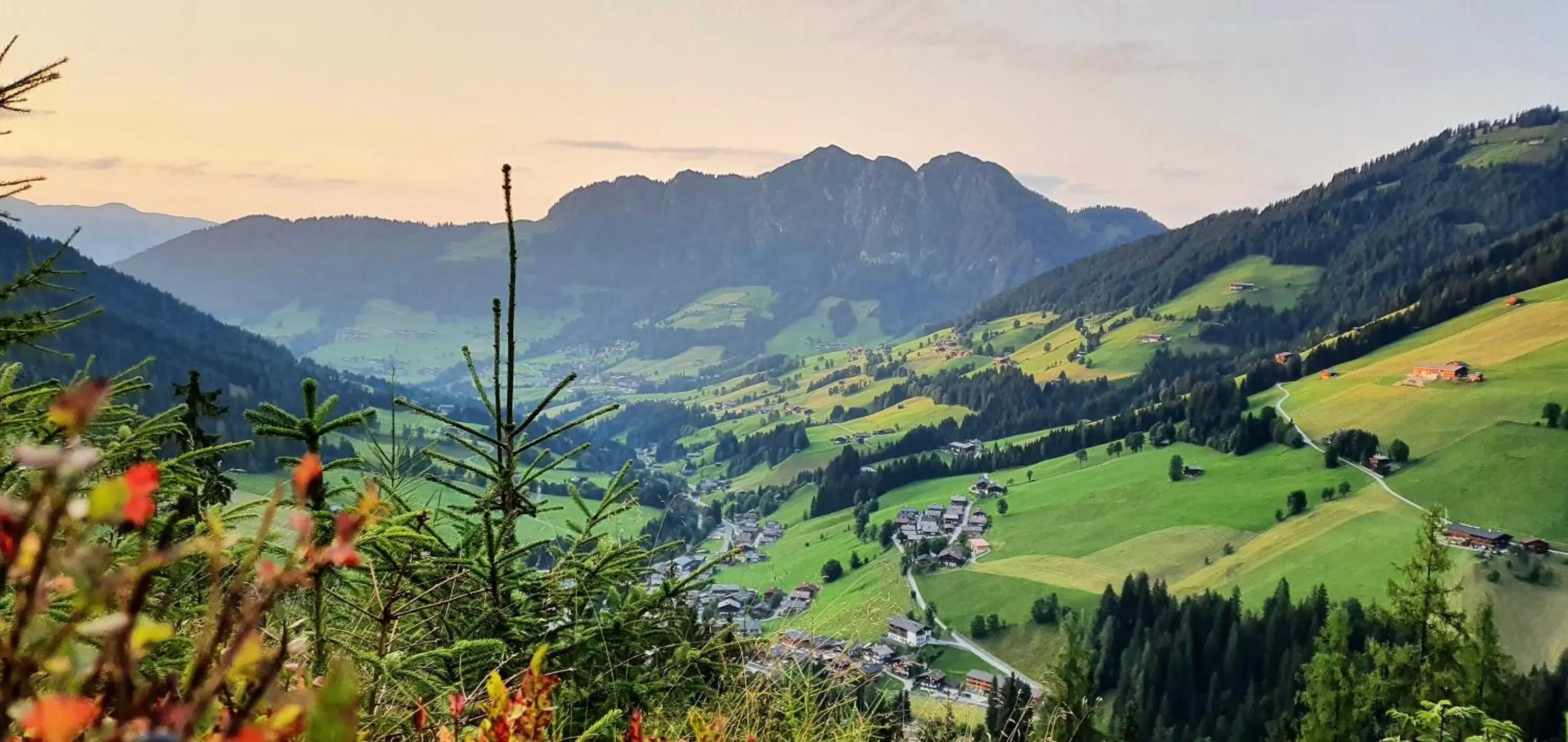 Staff, Mountain View in Natur & Spa Resort "Der Alpbacherhof" Superior