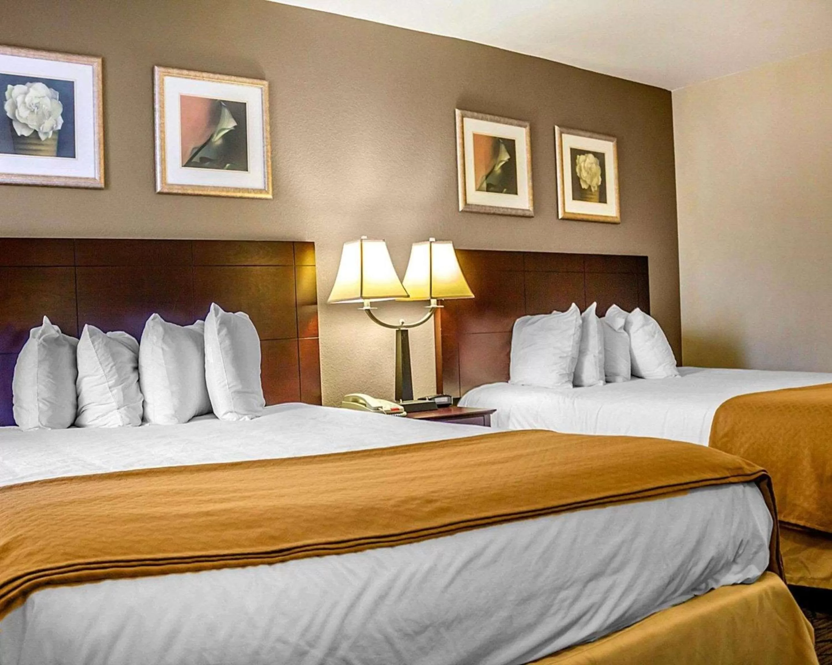 Photo of the whole room, Bed in Quality Inn Waterbury East