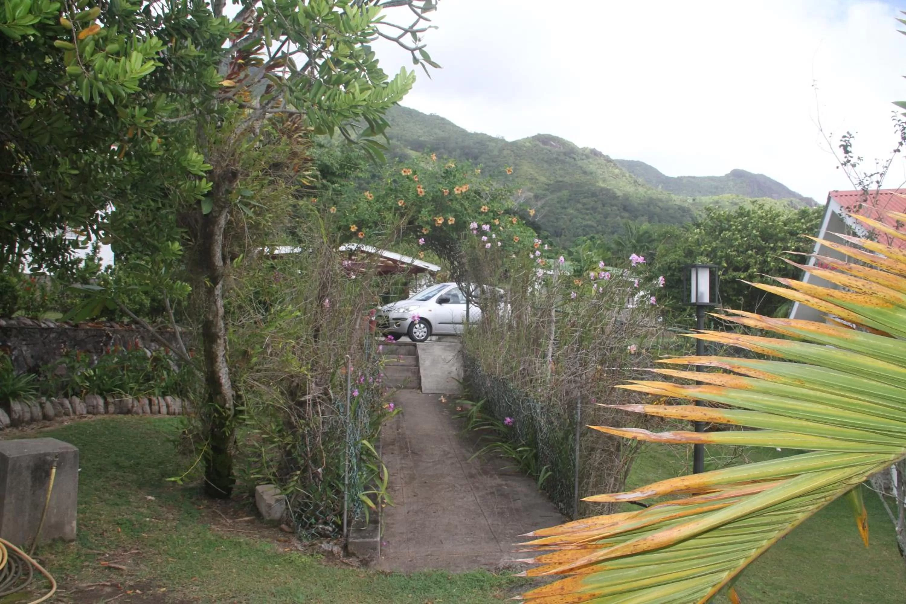 Garden in Daniella's Bungalows