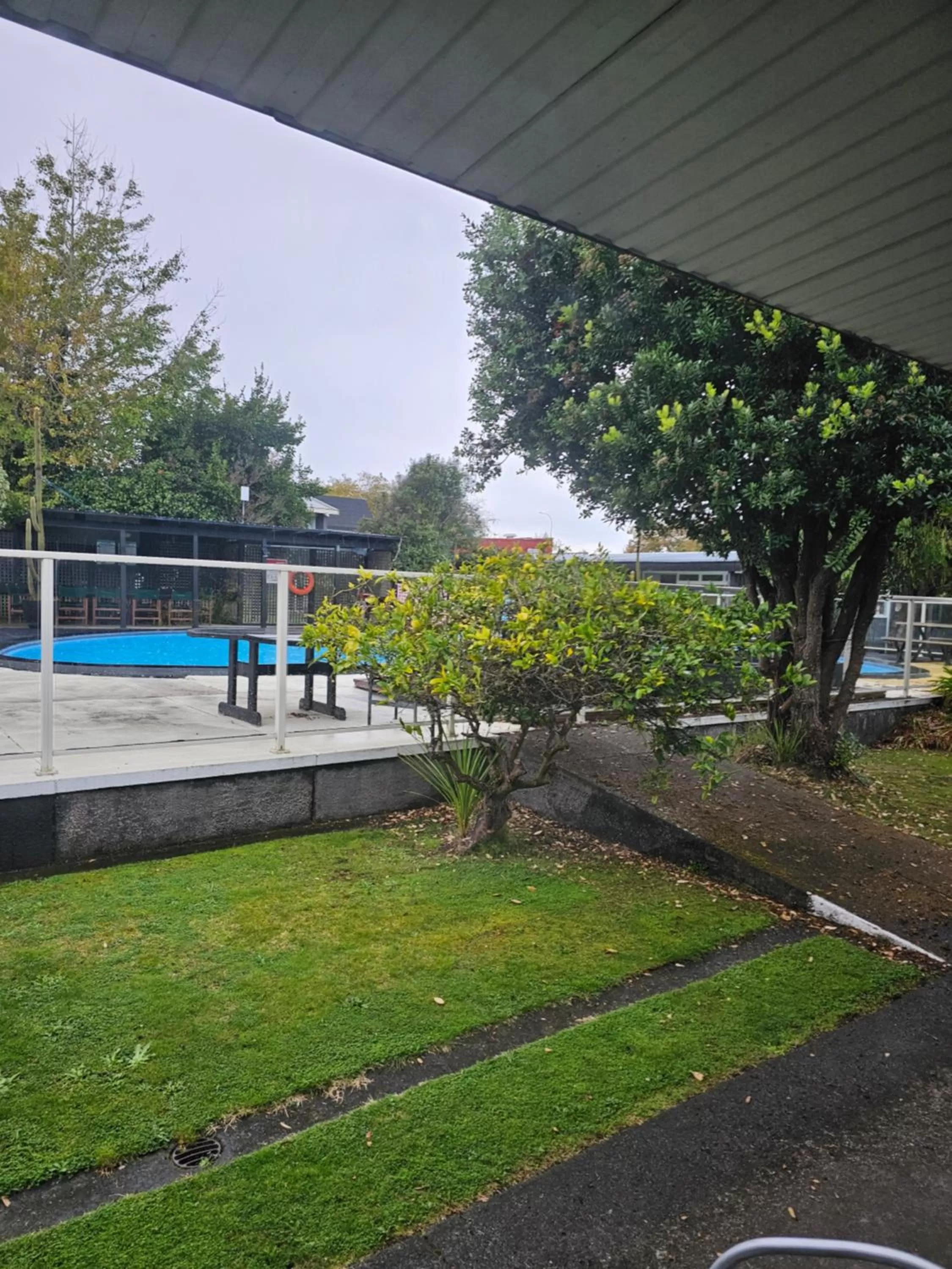 Garden view in The Avenue