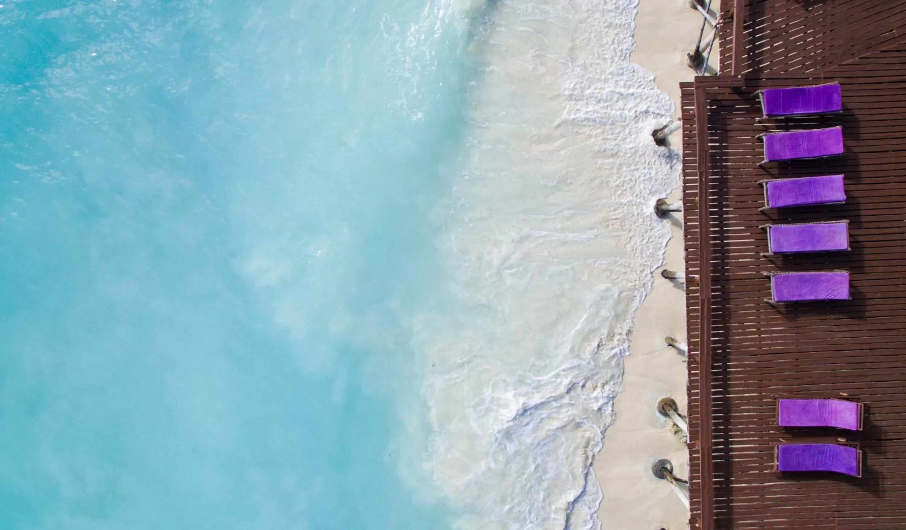 Garden in Mnarani Beach Cottages