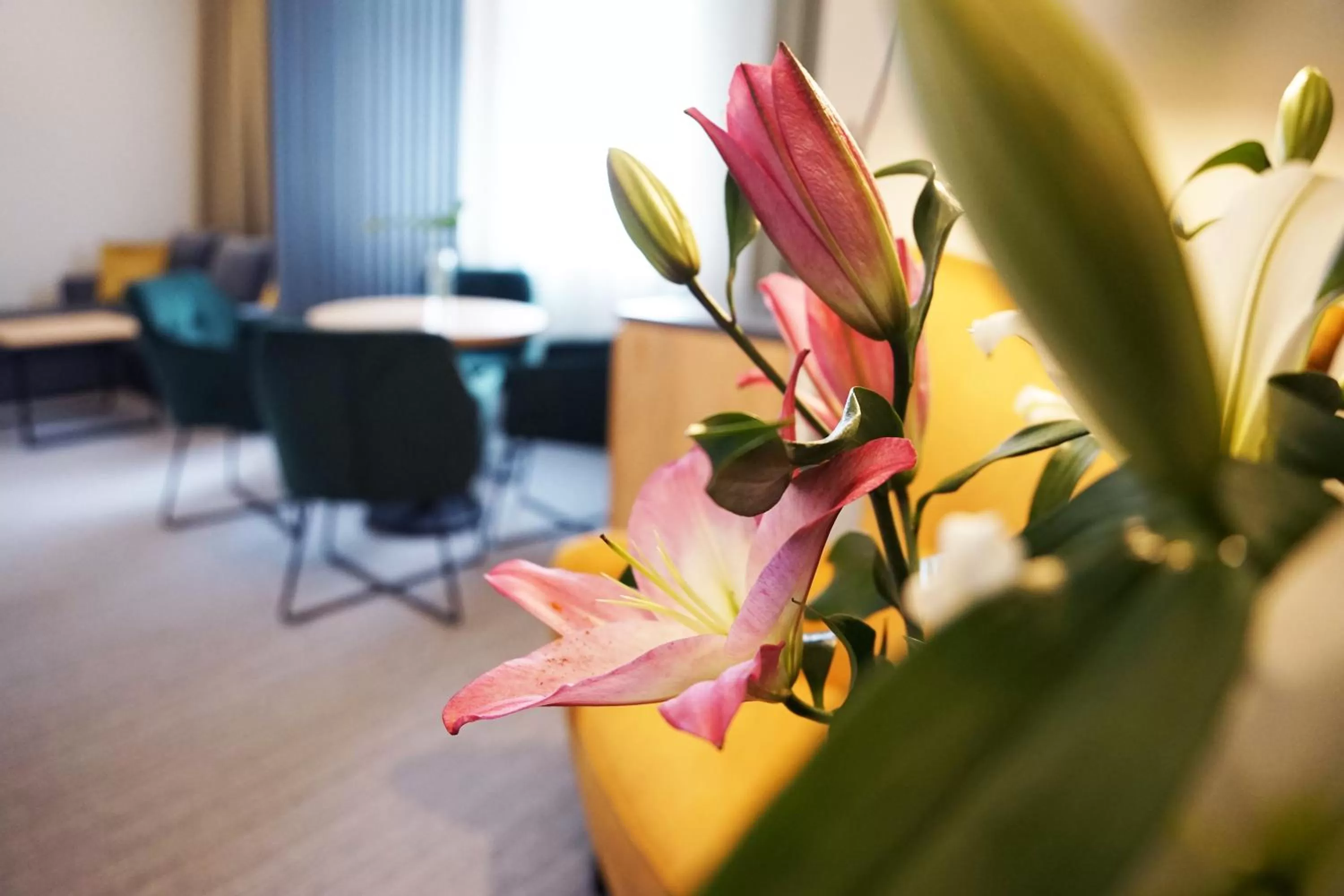 View (from property/room) in FACTORY RESORT wellness & spa