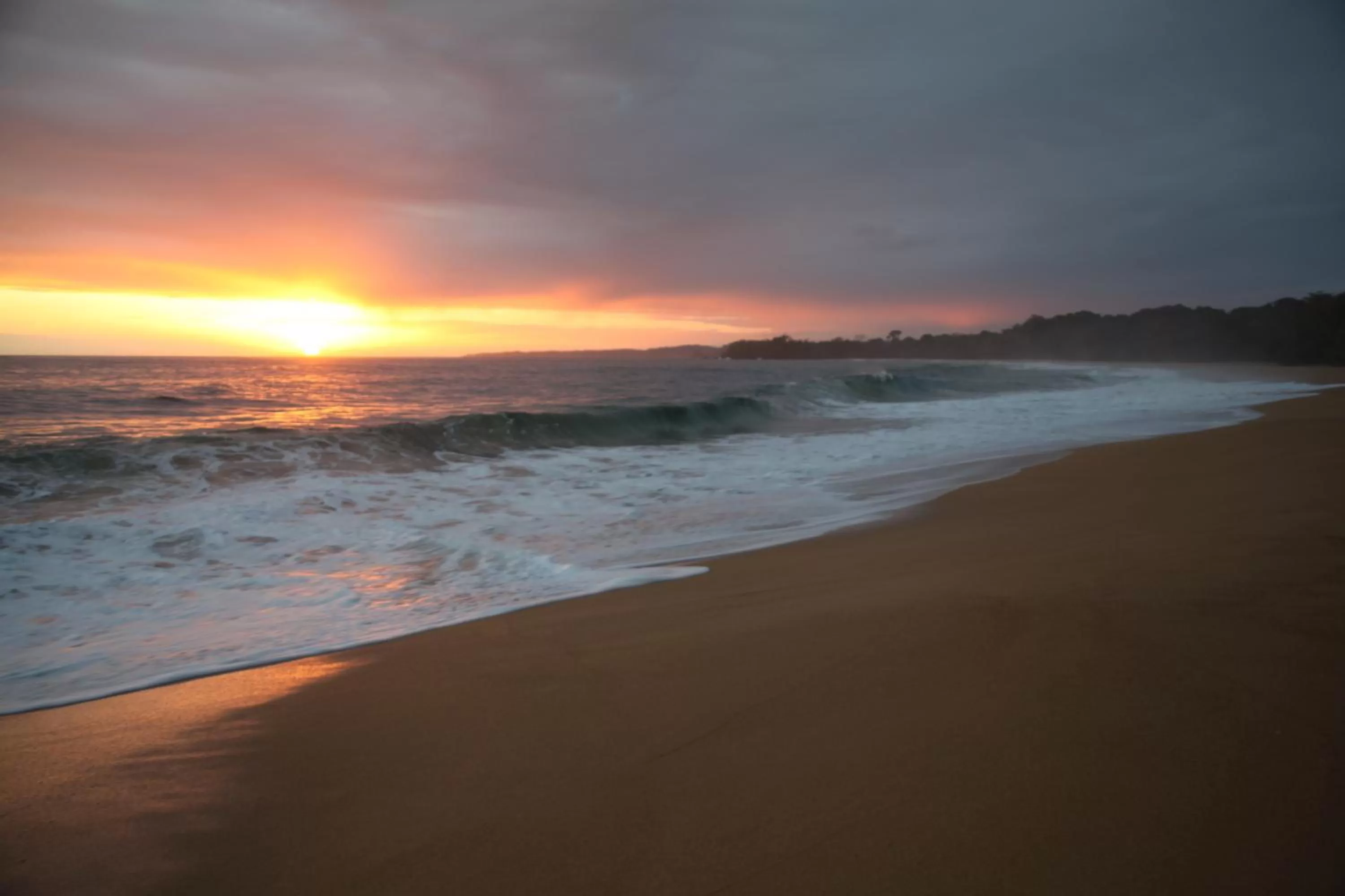 Beach in The Hummingbird