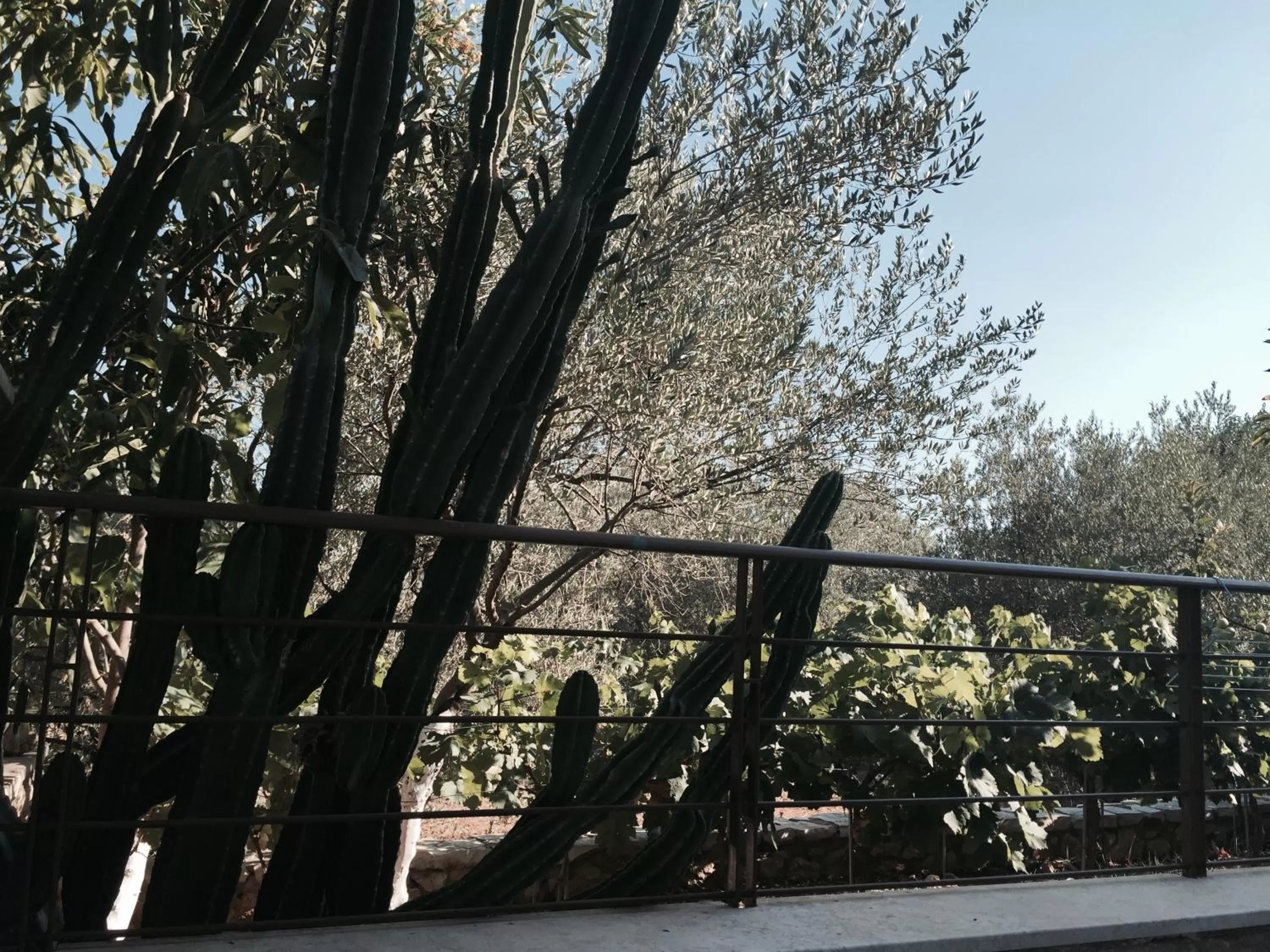 Property building in Hani Inn