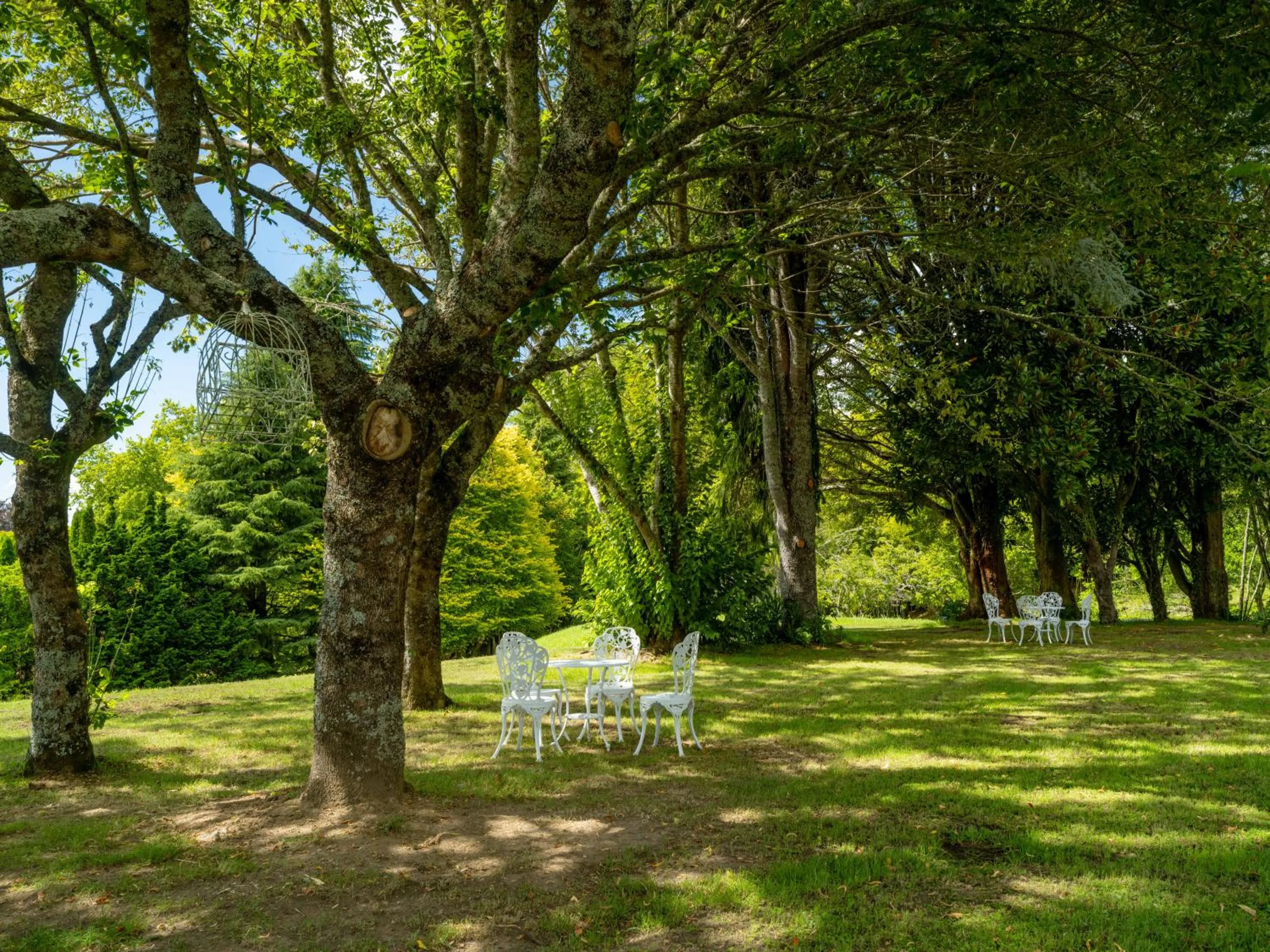 Garden in Hana Lodge