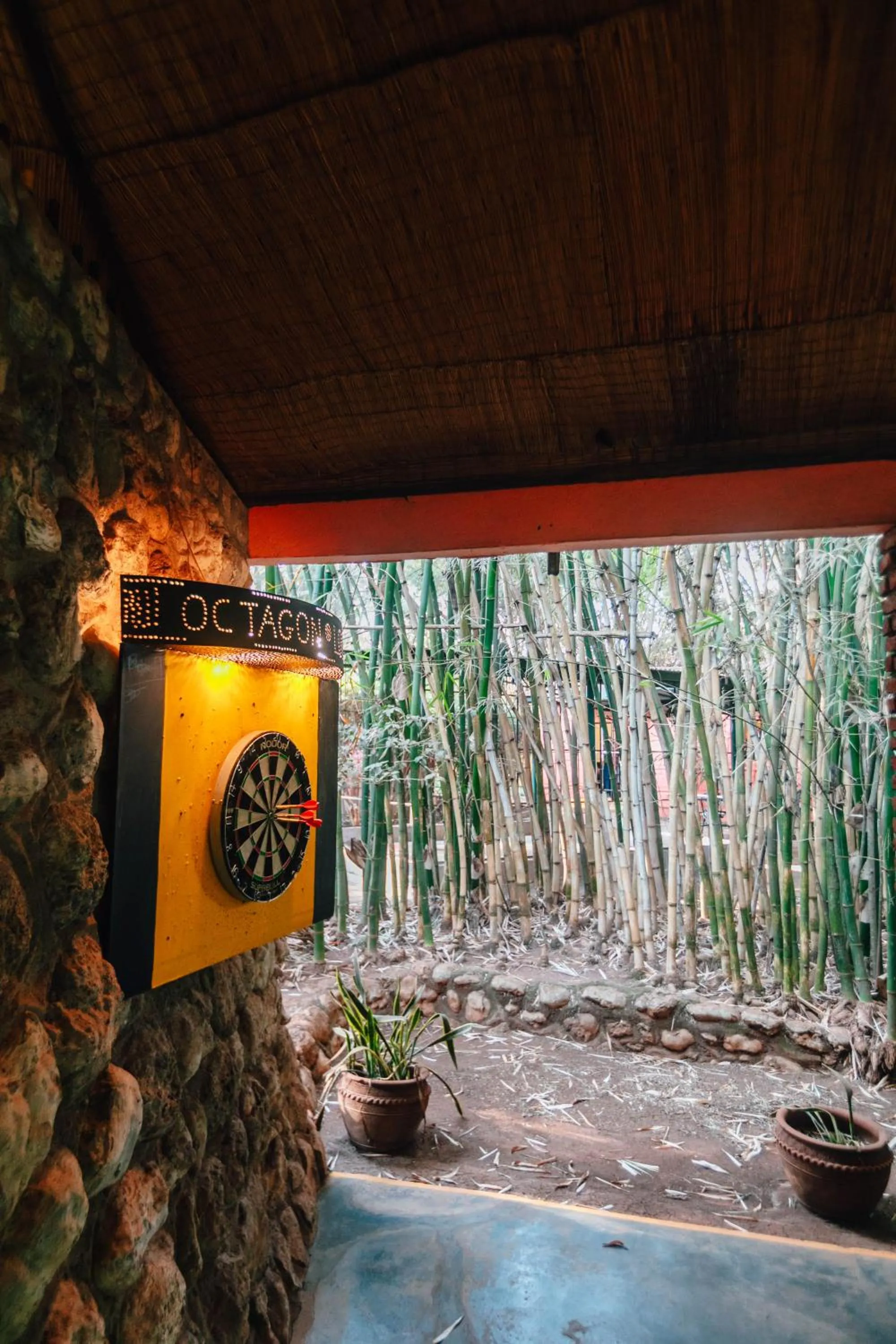 Darts in Octagon Lodge