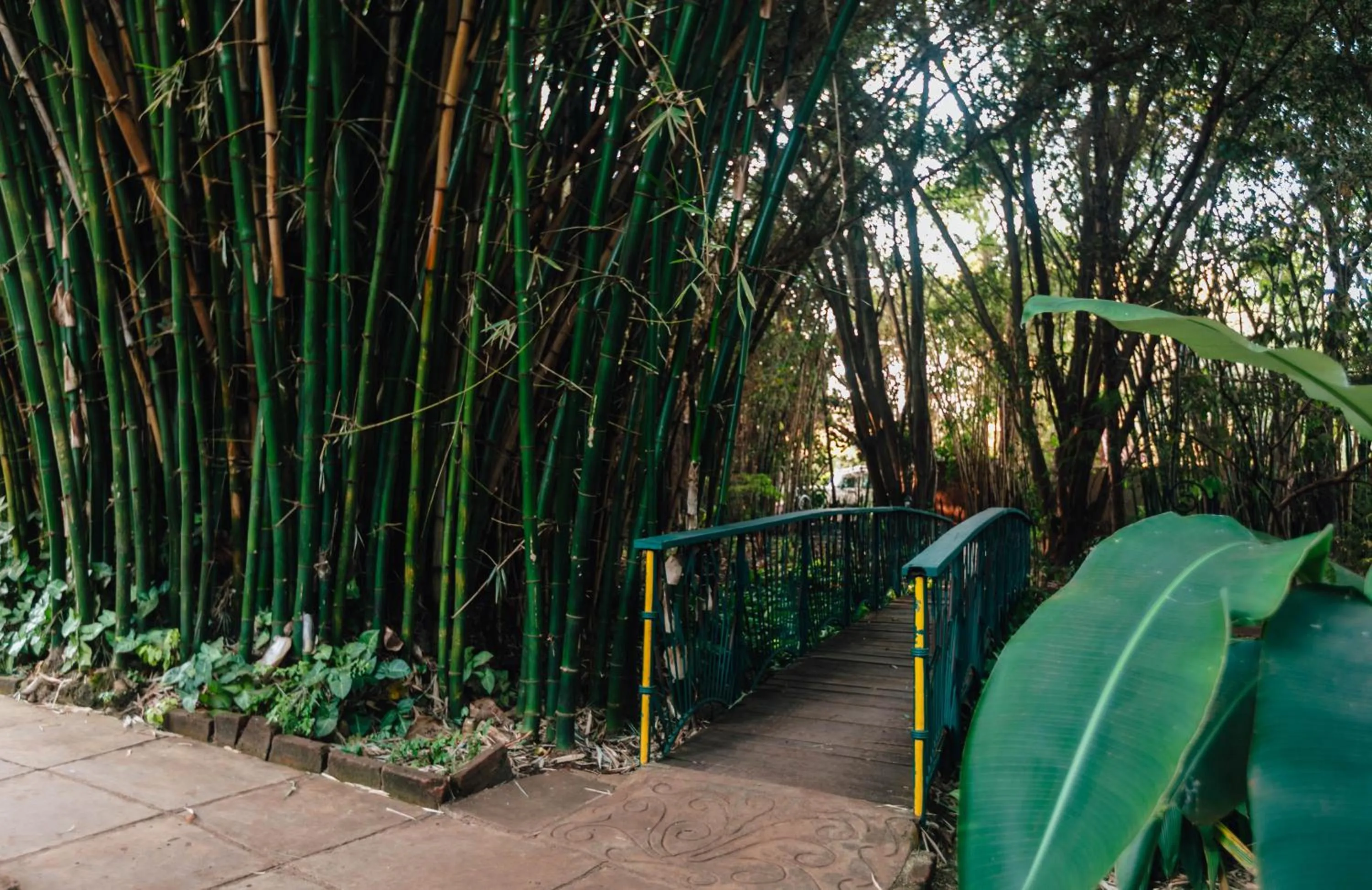 Natural landscape in Octagon Lodge