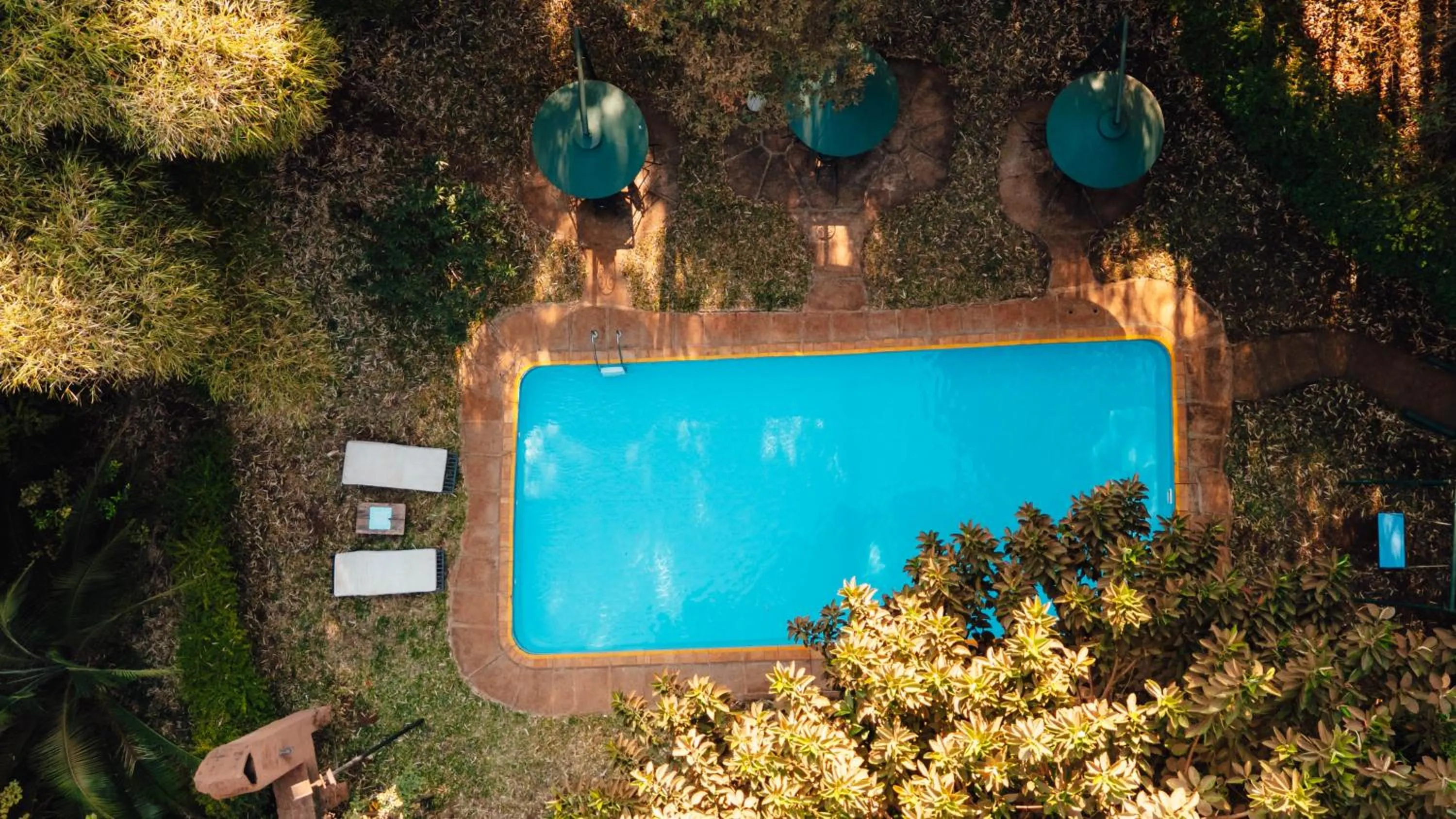 Swimming pool in Octagon Lodge