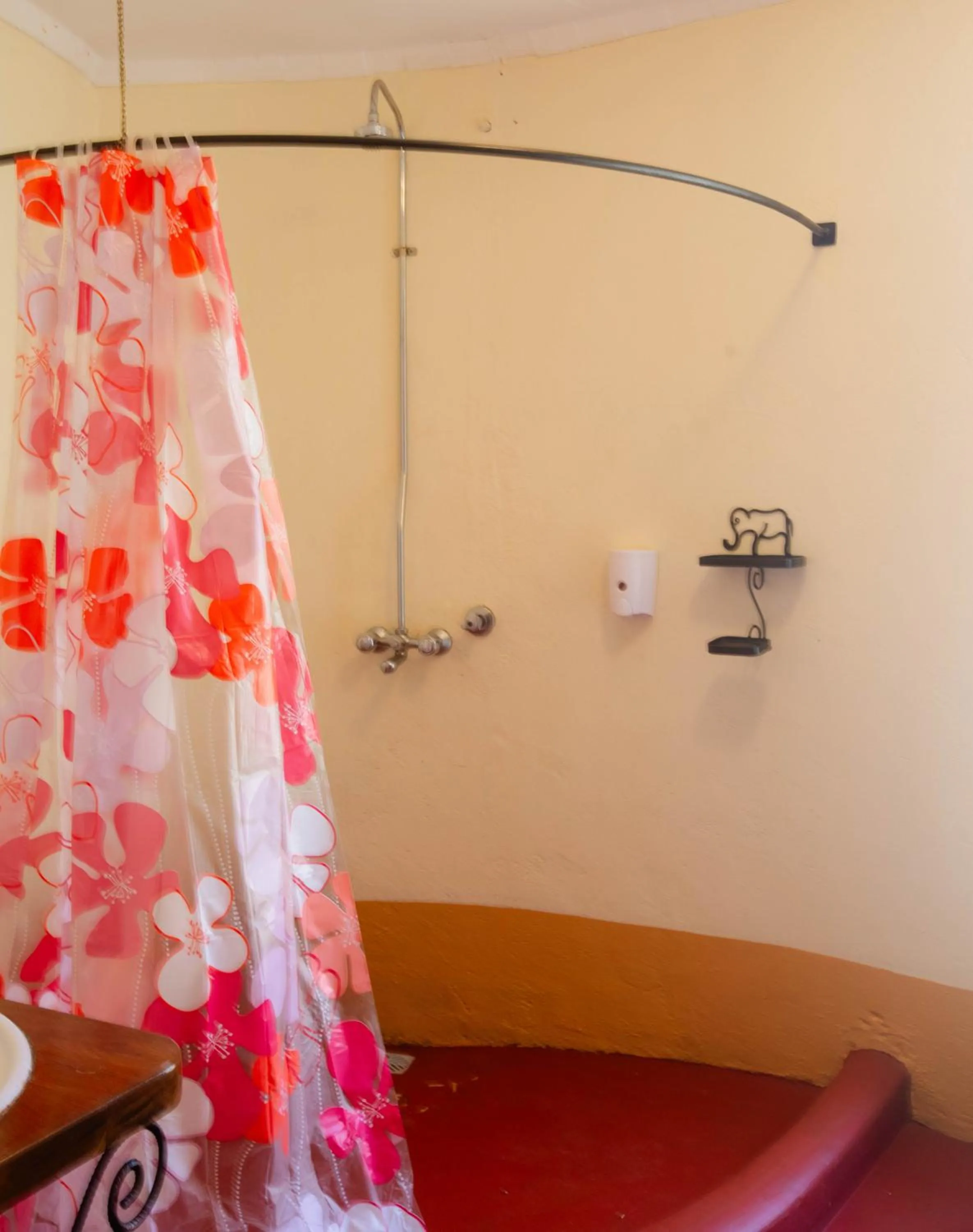 Shower in Octagon Lodge