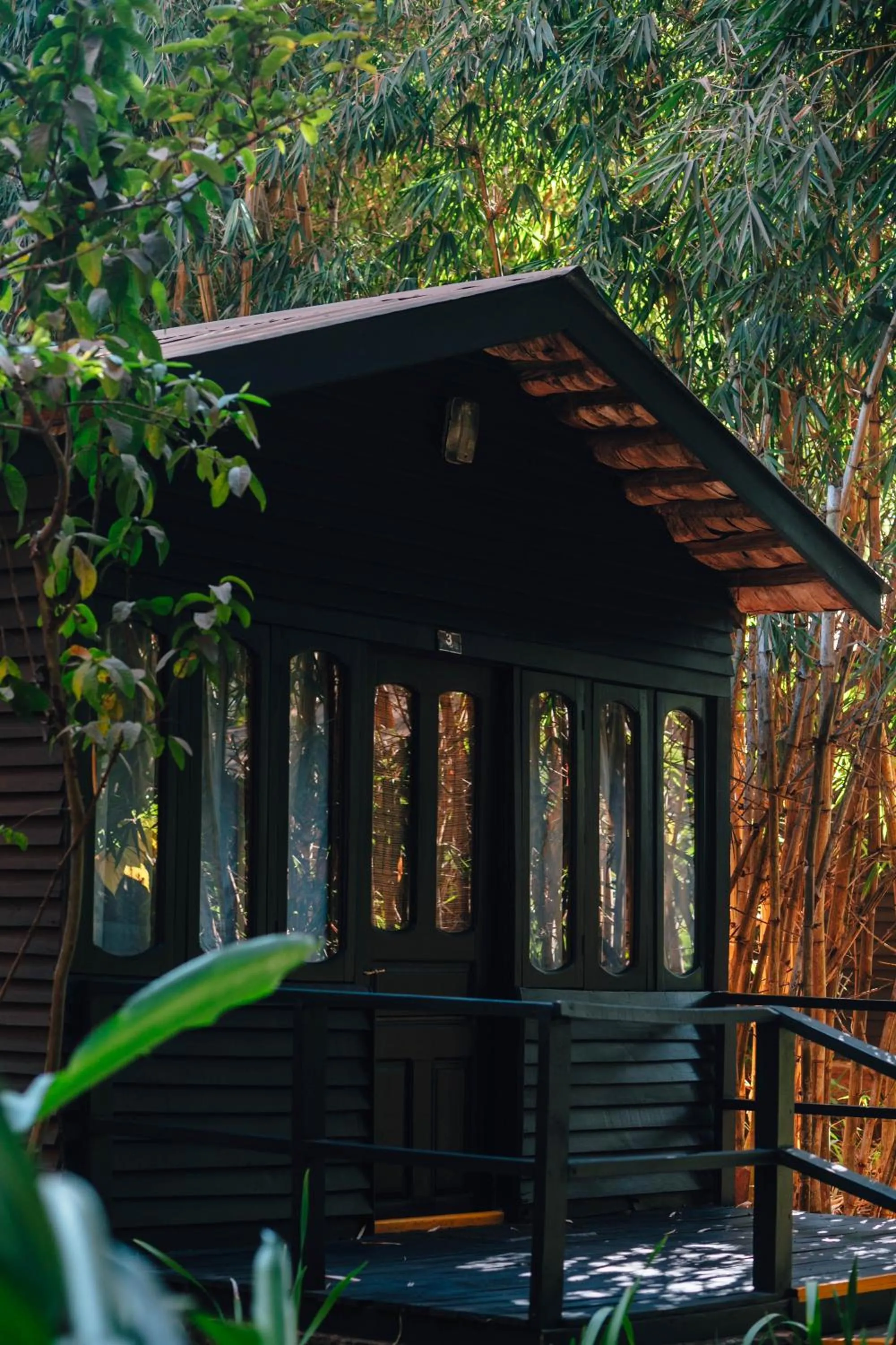 View (from property/room) in Octagon Lodge
