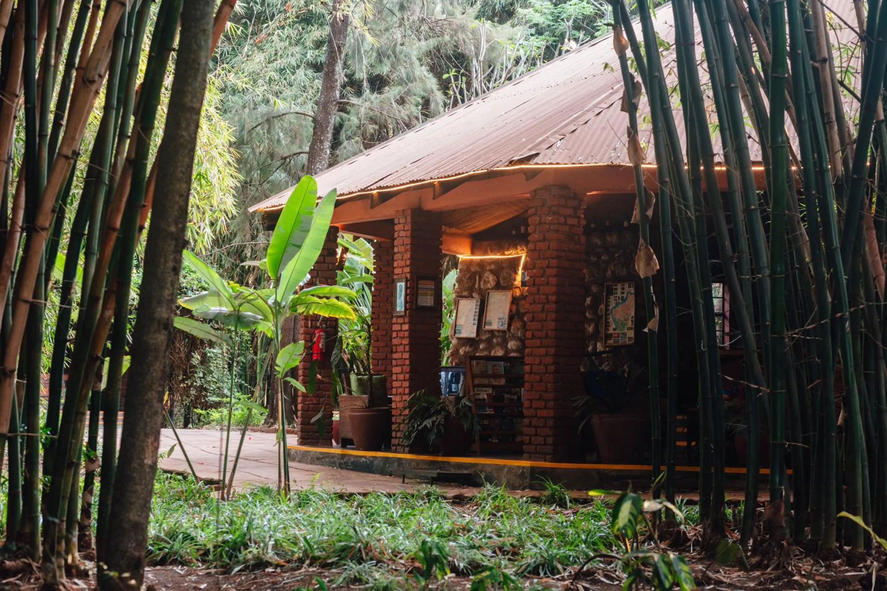 Lounge or bar in Octagon Lodge