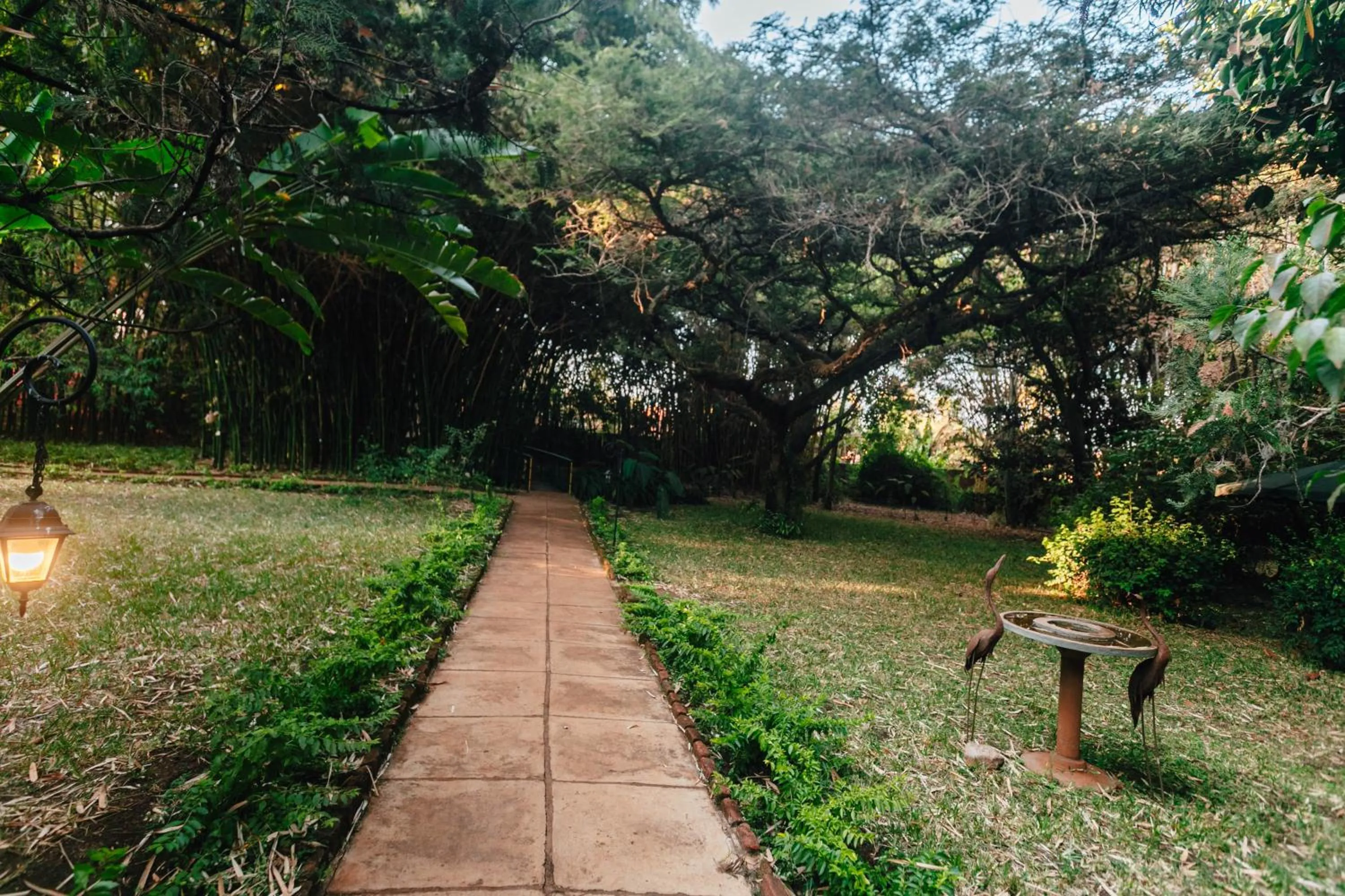 Natural landscape in Octagon Lodge